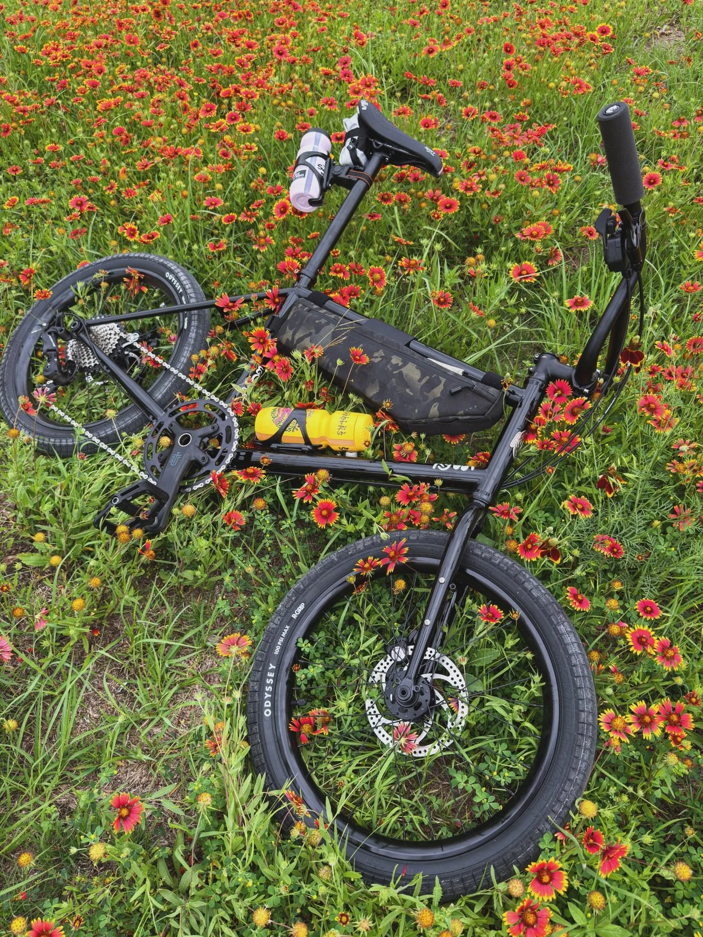 Heaven knows I&rsquo;m miserable now 🪿