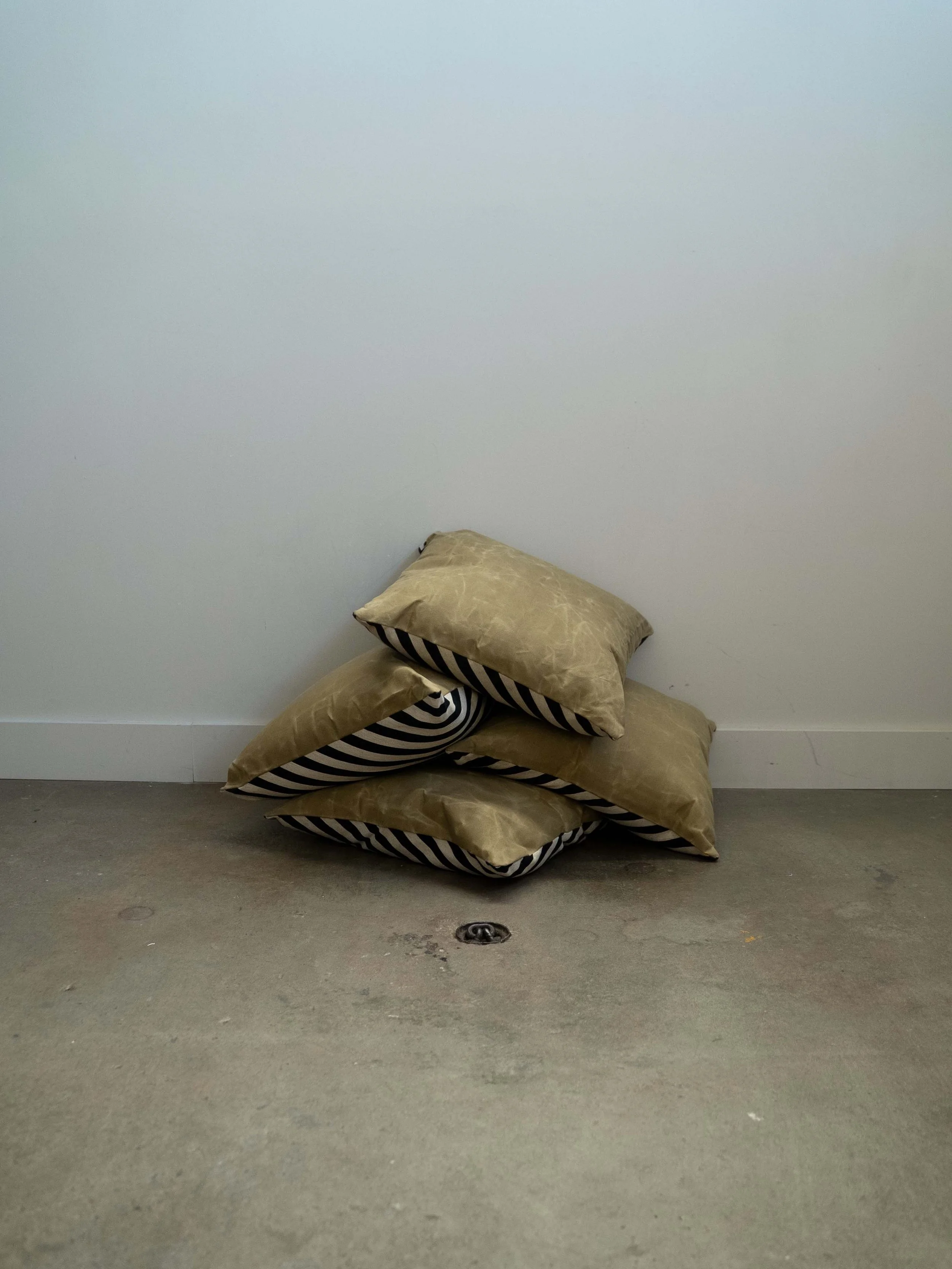 SAFDS_Pillows_3.jpg