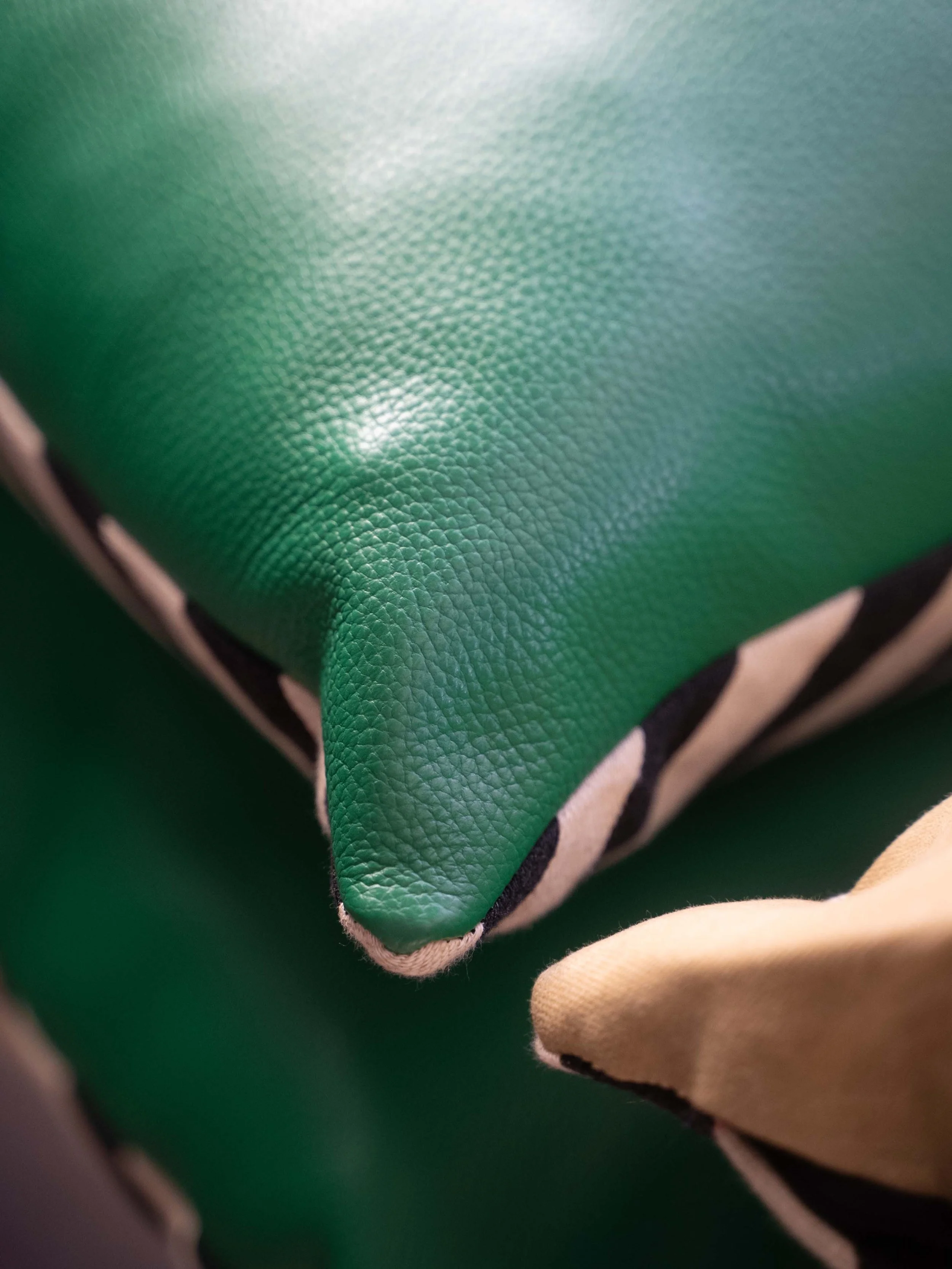 SAFDS_Pillows_1.jpg
