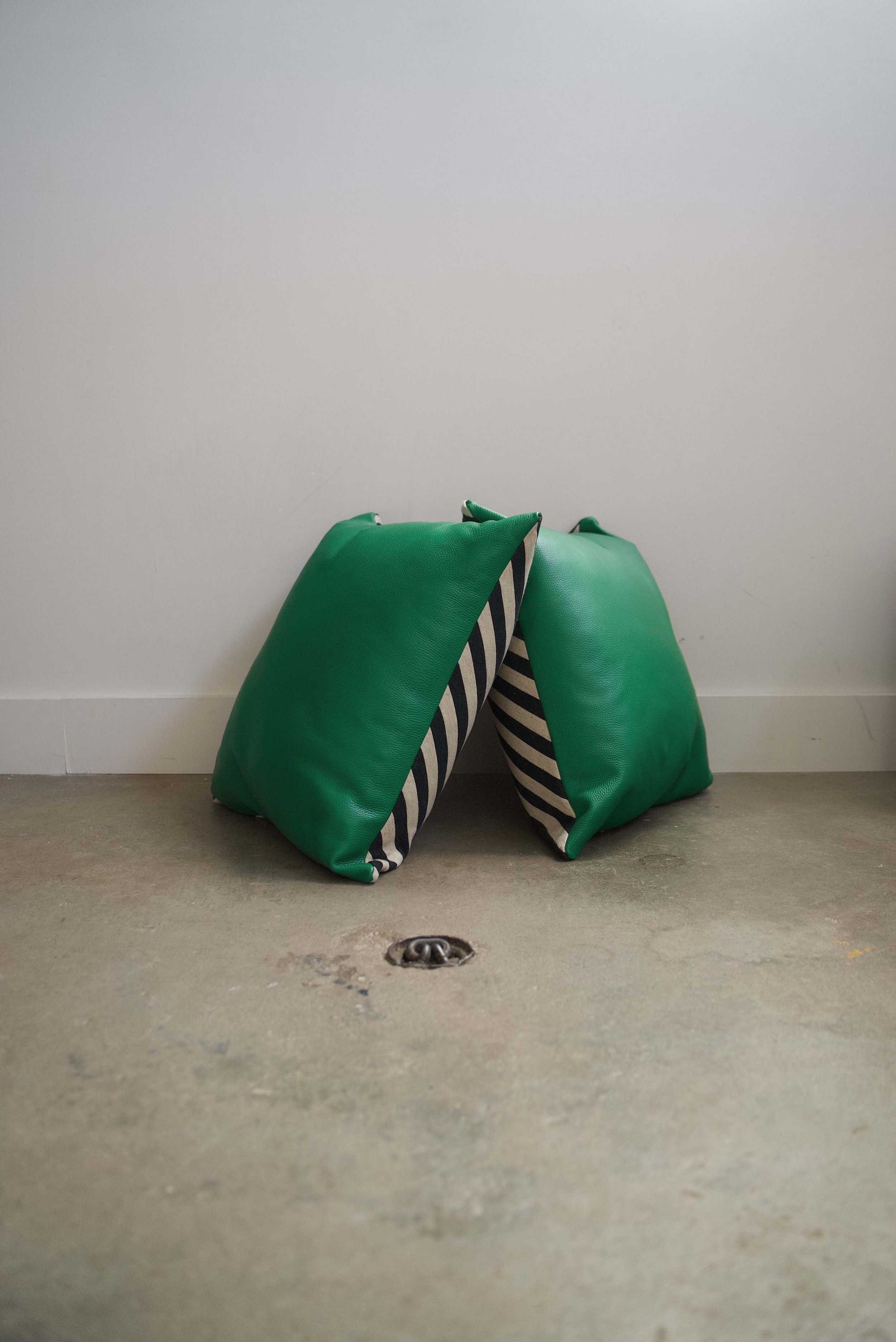 SAFDS_Pillows_7.jpg