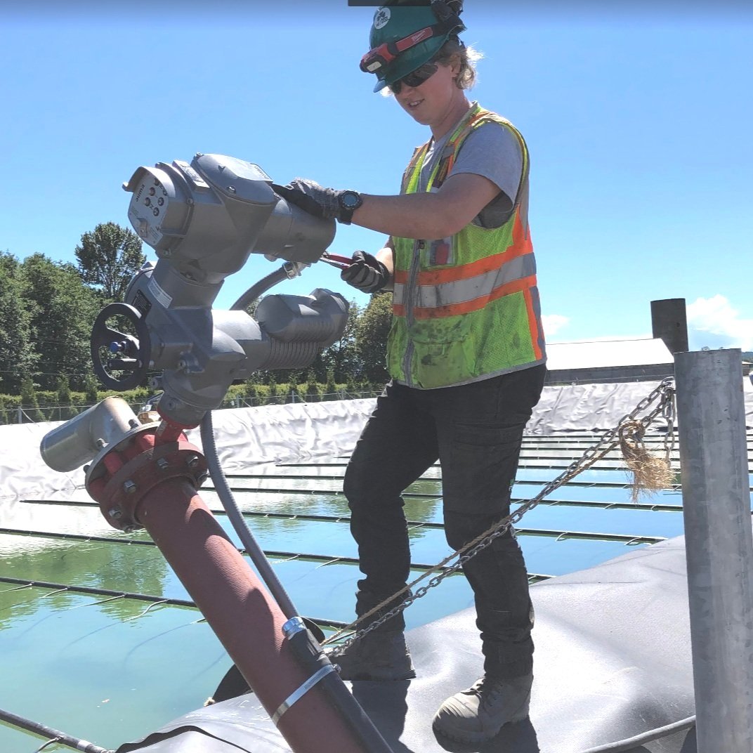 Audio: Homesteading Toward a Dream