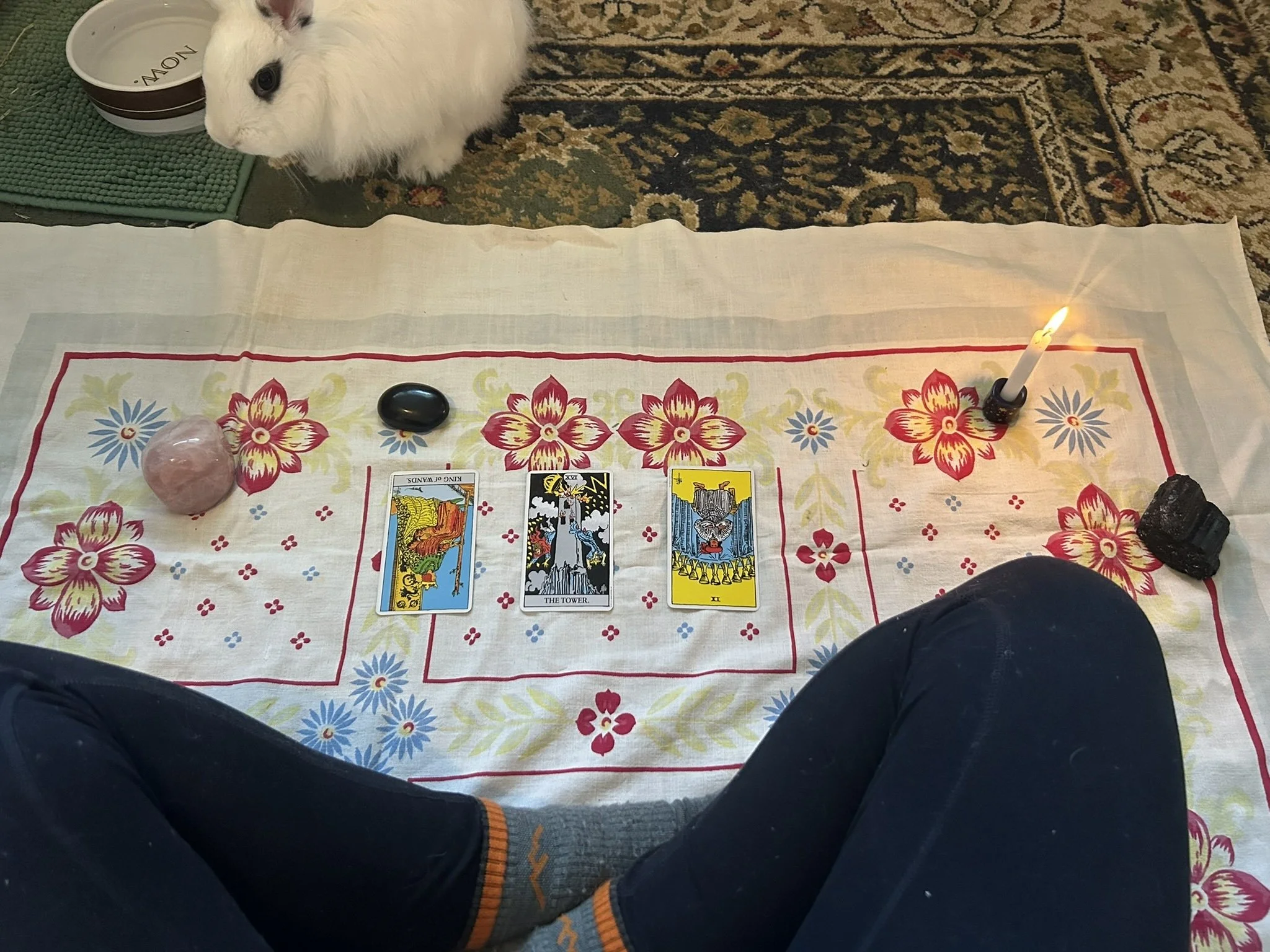 Story Time: Rosemary &amp; Theo