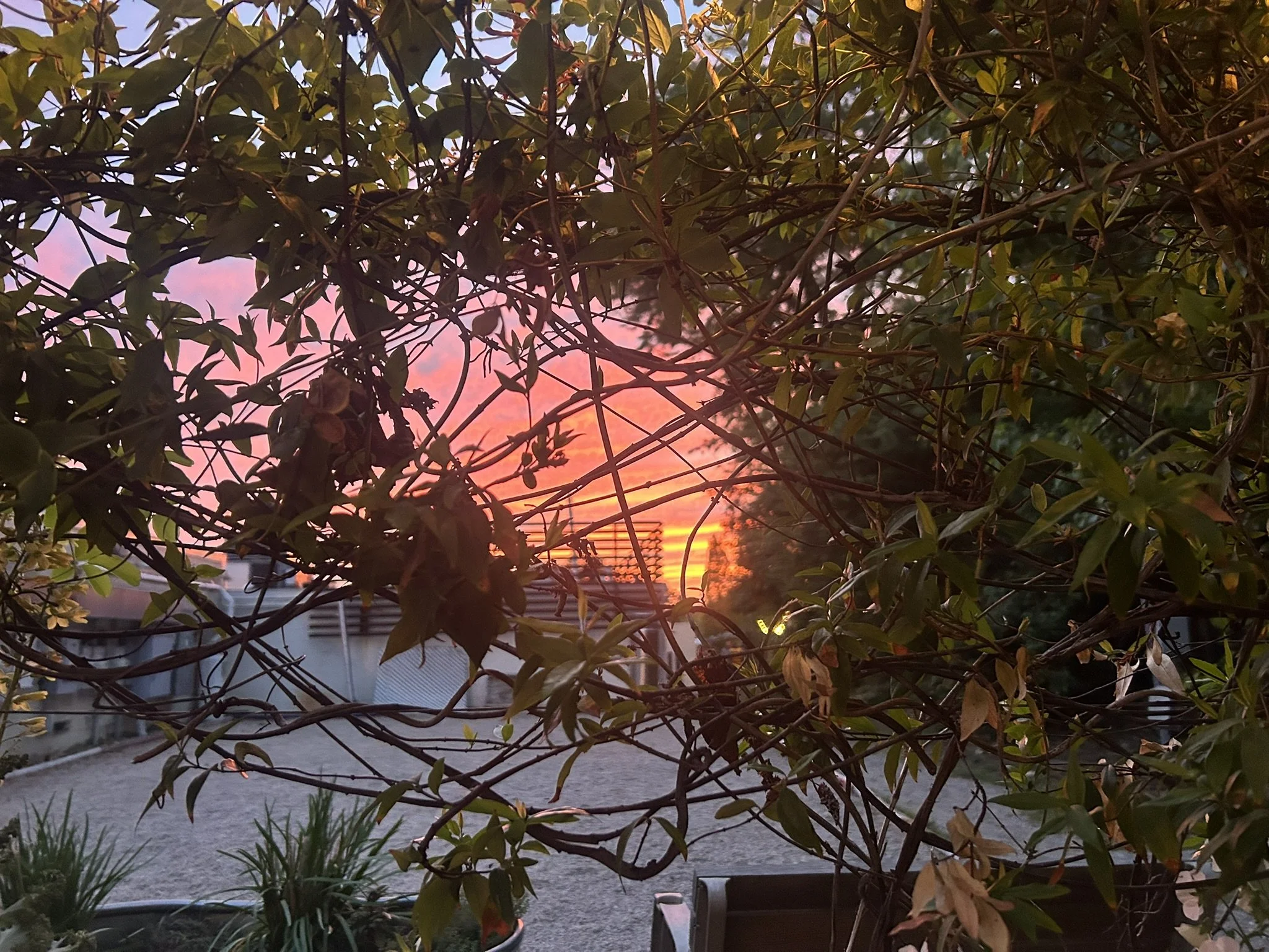 Take care of yourself