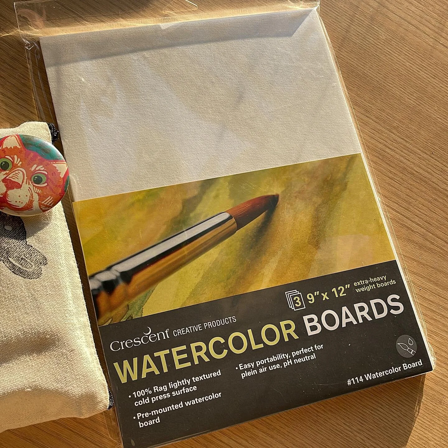 Have you tried this out yet? For those who were curious, in my last project I tried the Watercolor Board from Cresent. They held up very well against my Posca markers (I was super heavy handed with them) and did well with layers of gouache paint.  Th