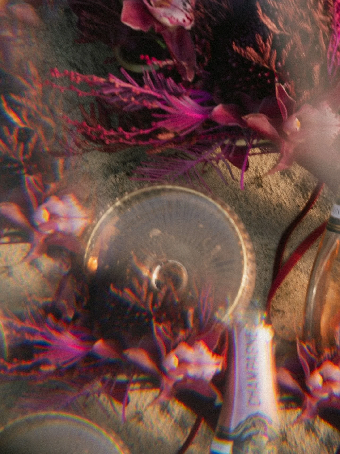 vibrant details, holding the mood ✨