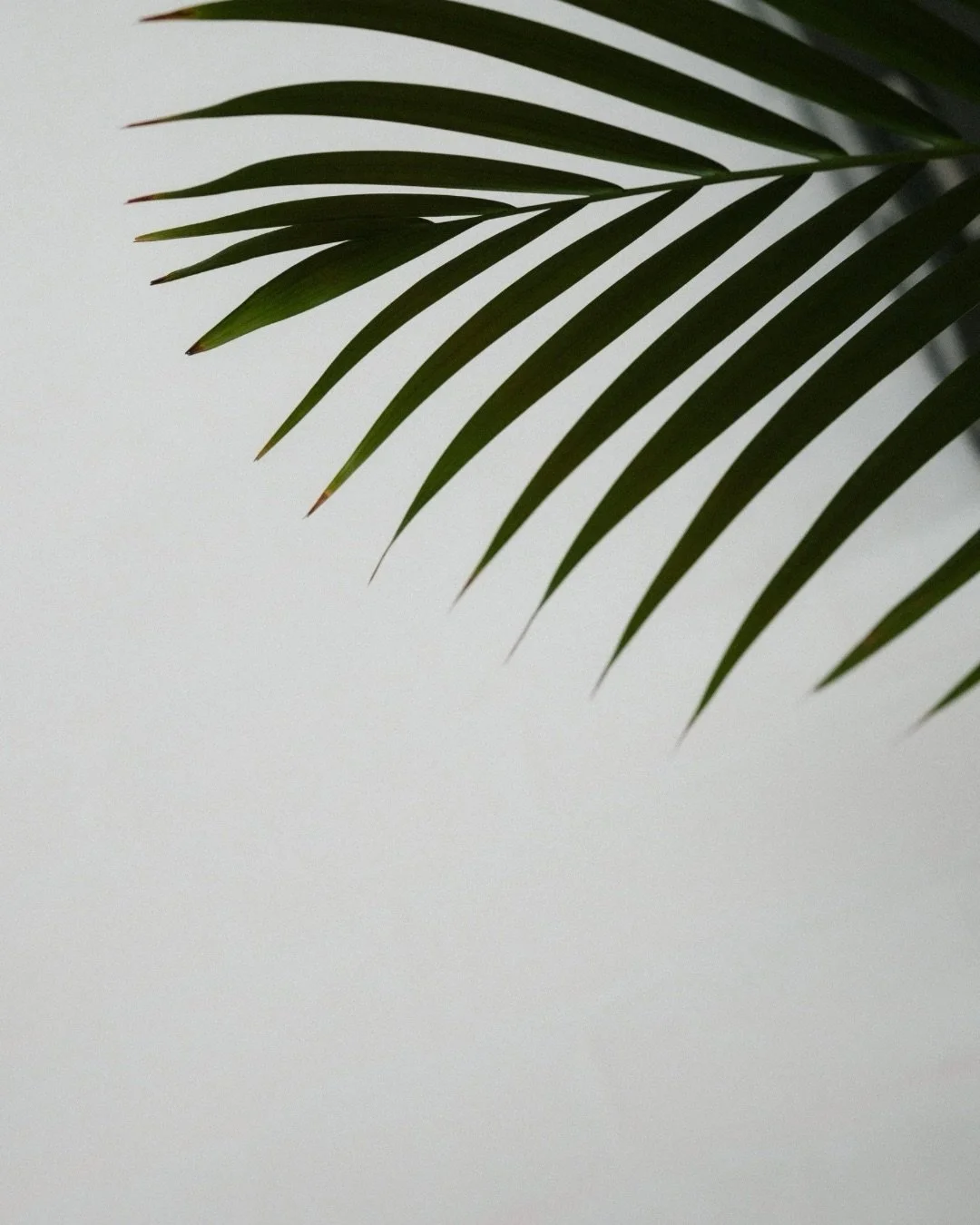 .
first glimpses of yesterday&hellip; I&rsquo;m still in awe

being around people
who care about how they love
and how they move through the world
just feels like what actually matters 🫶🏻