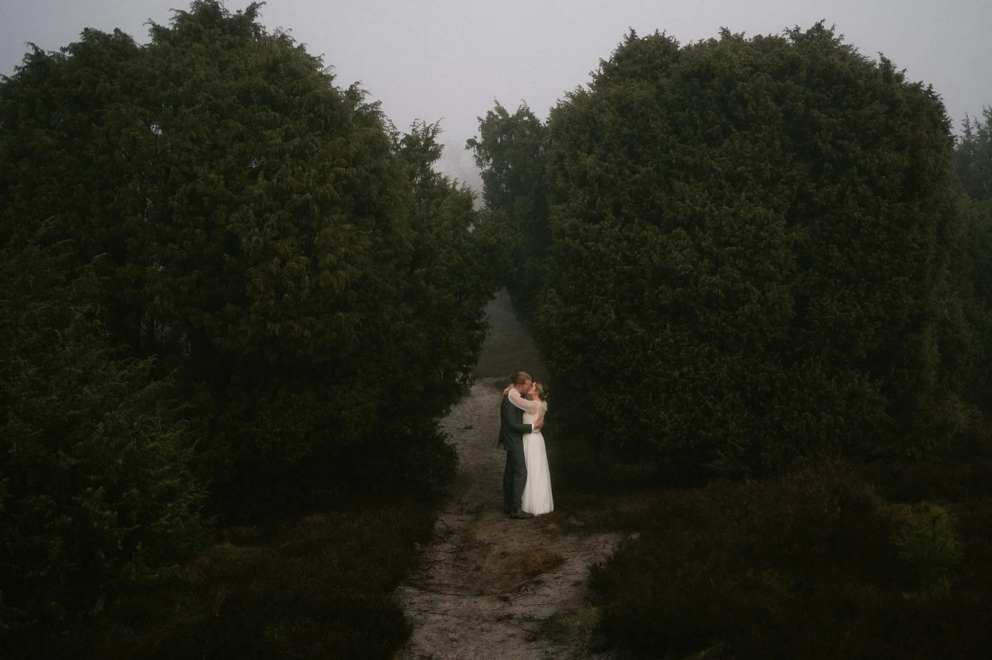 .
nothing loud
just this