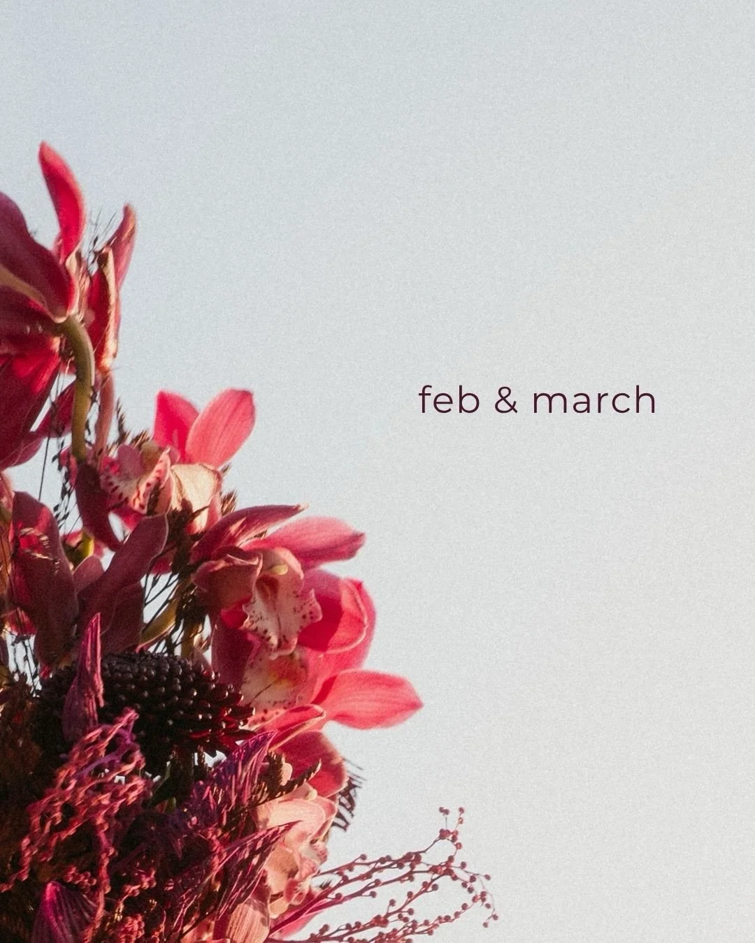 .
intense in every way.