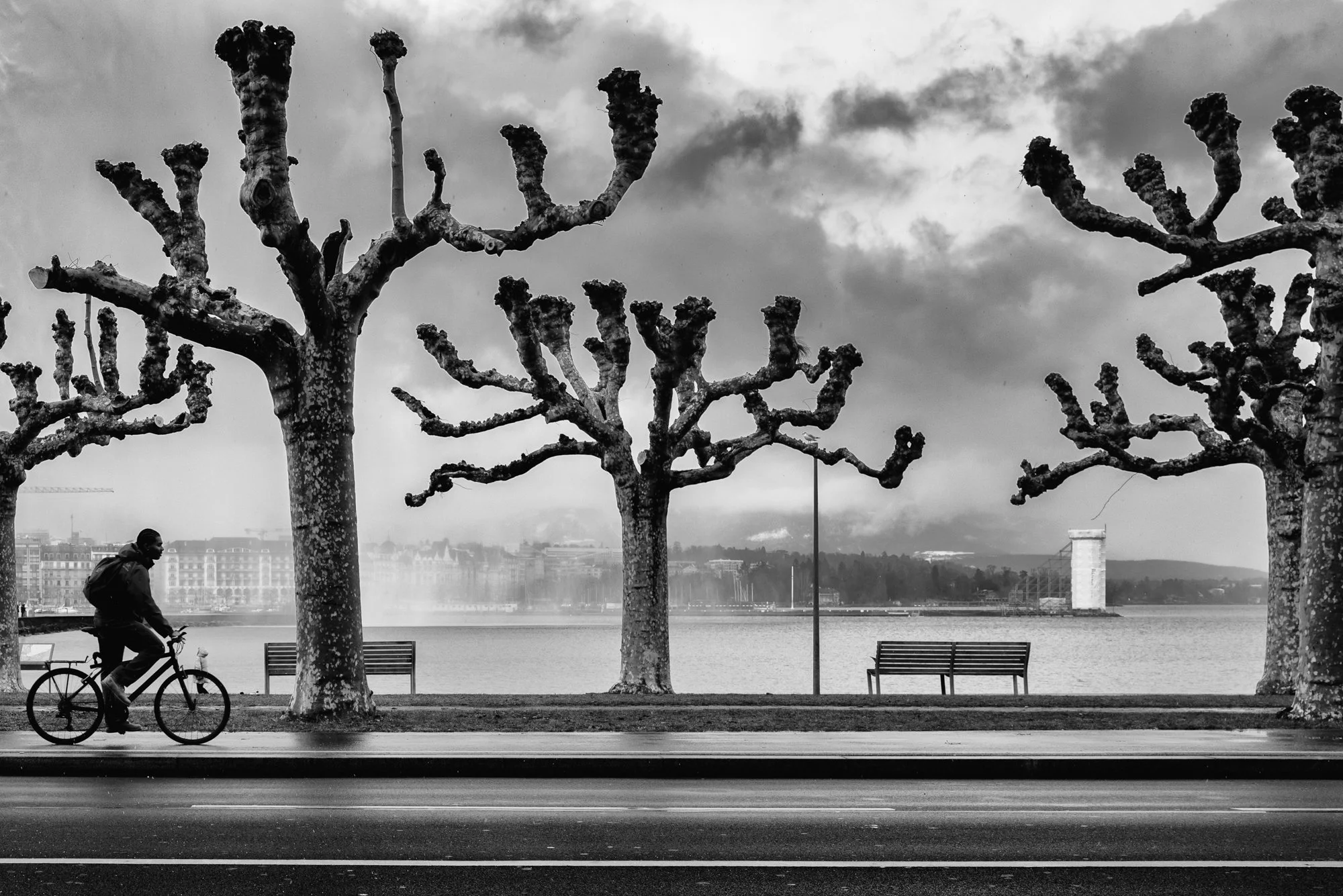 untitled-204-Edit-2.jpg