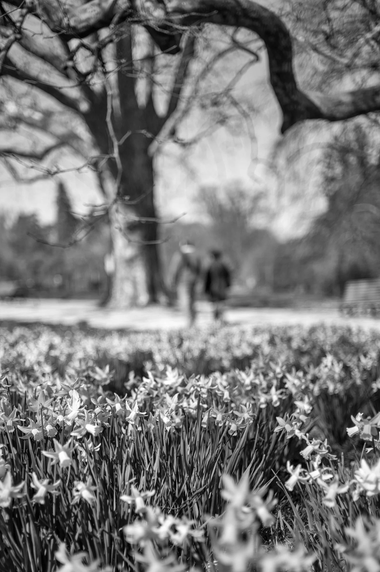 untitled-191-Edit.jpg
