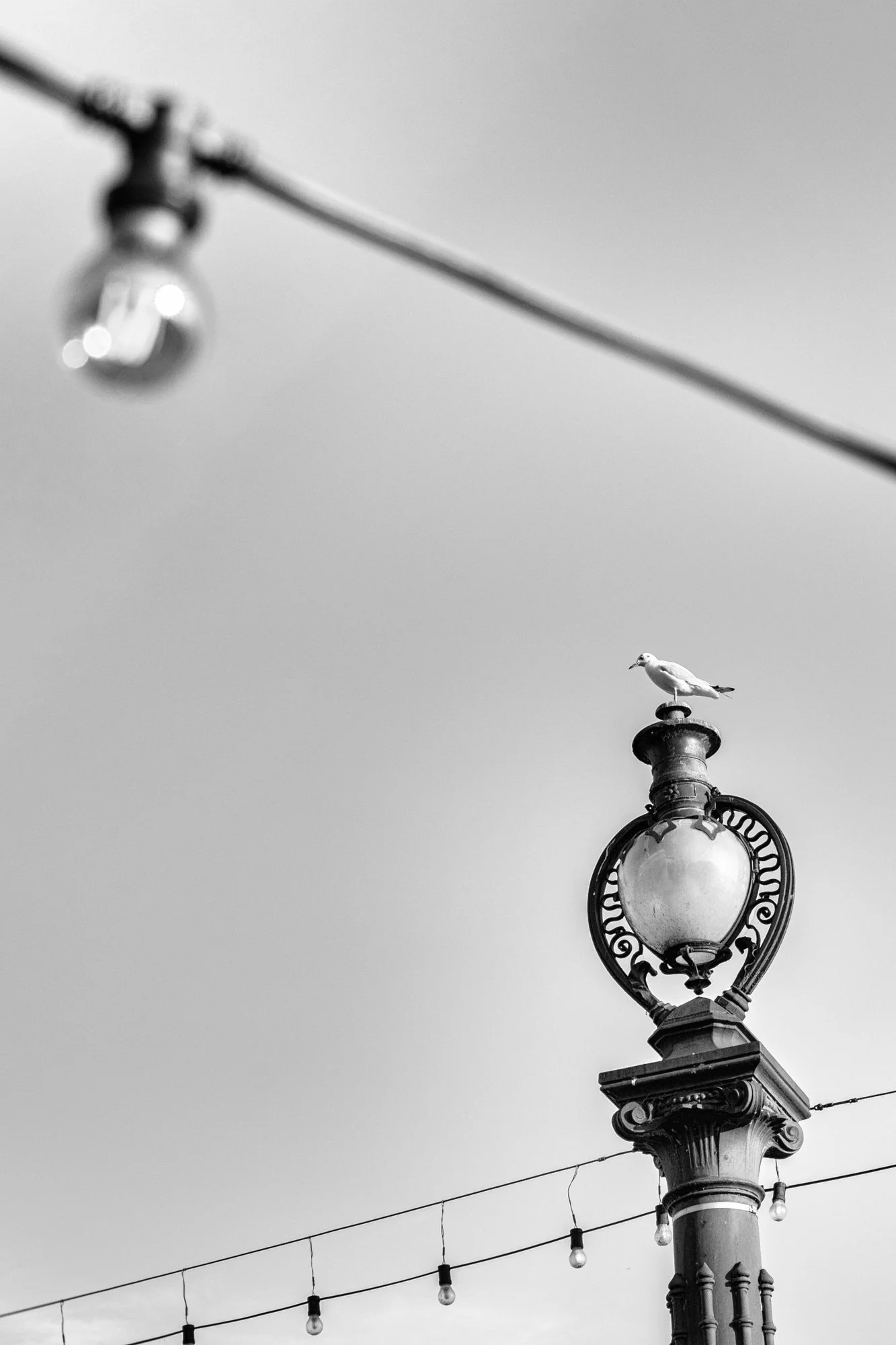 untitled-758-Edit.jpg