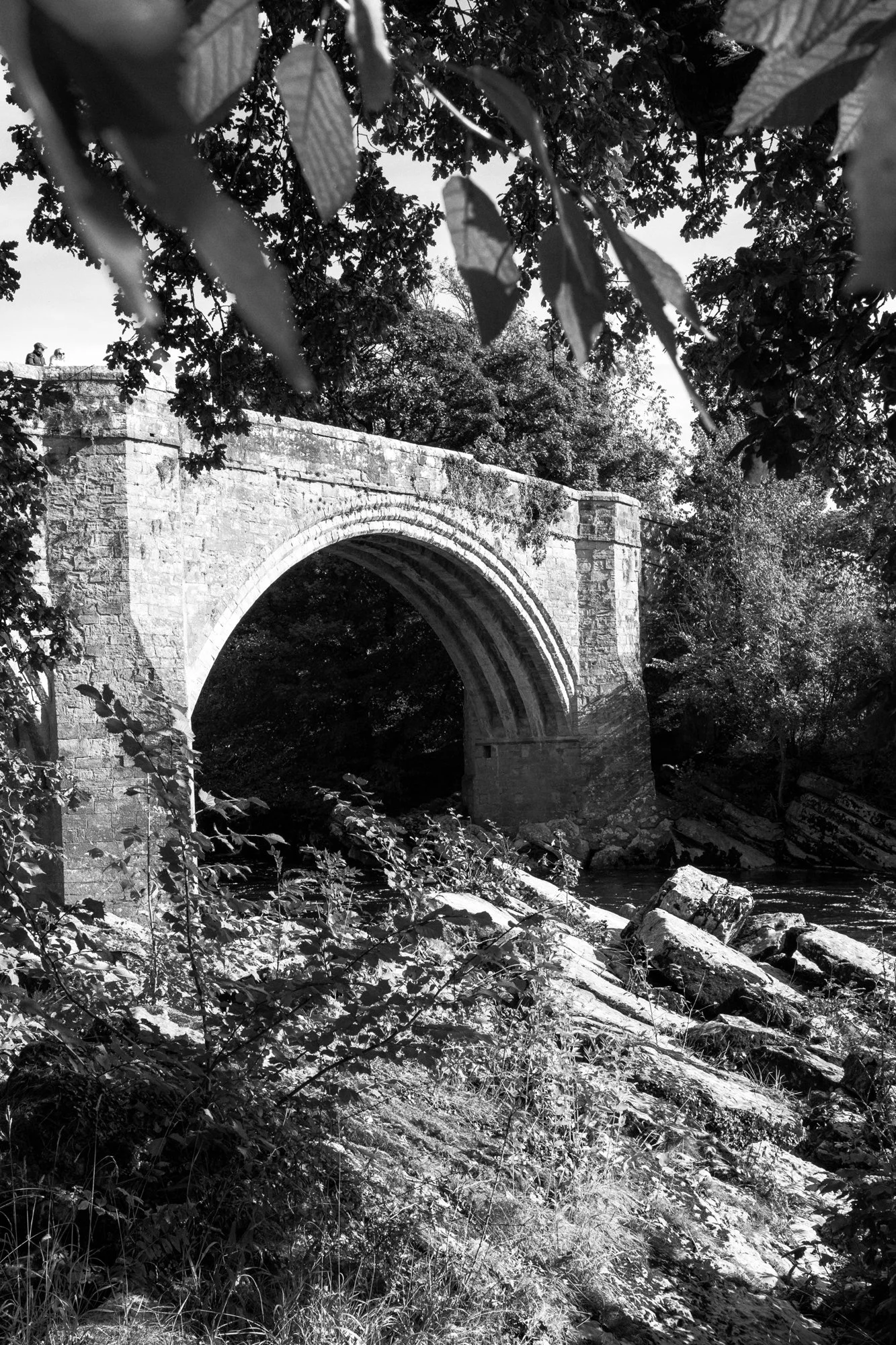 untitled-78-Edit.jpg