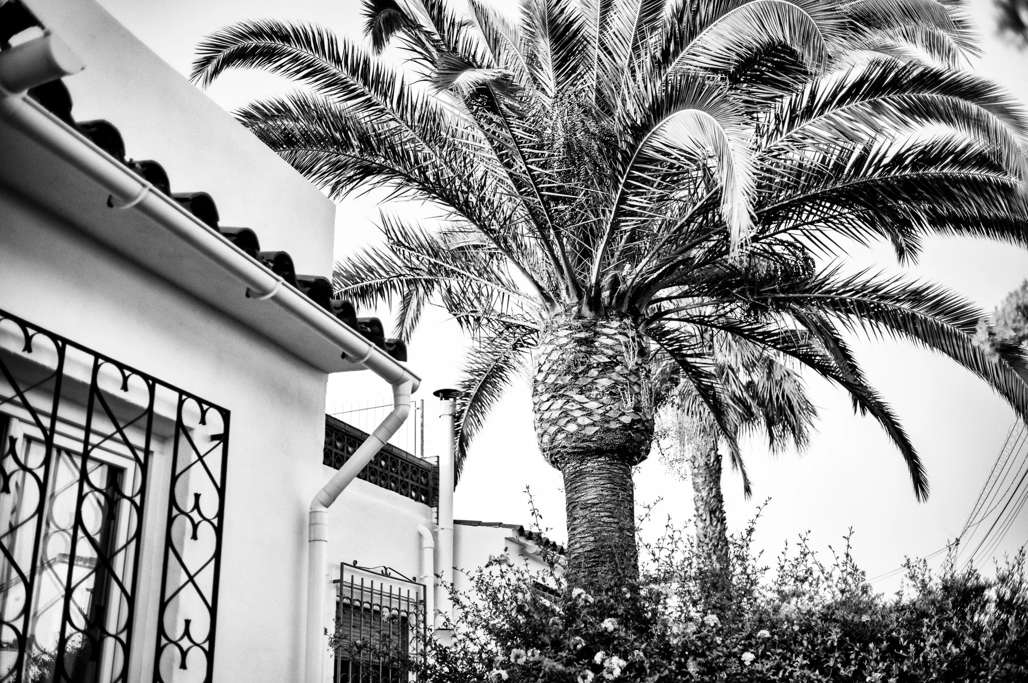 2606_Spain-8.jpg