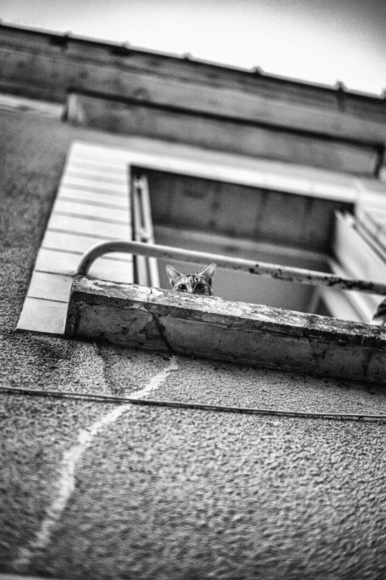 untitled-92-Edit.jpg