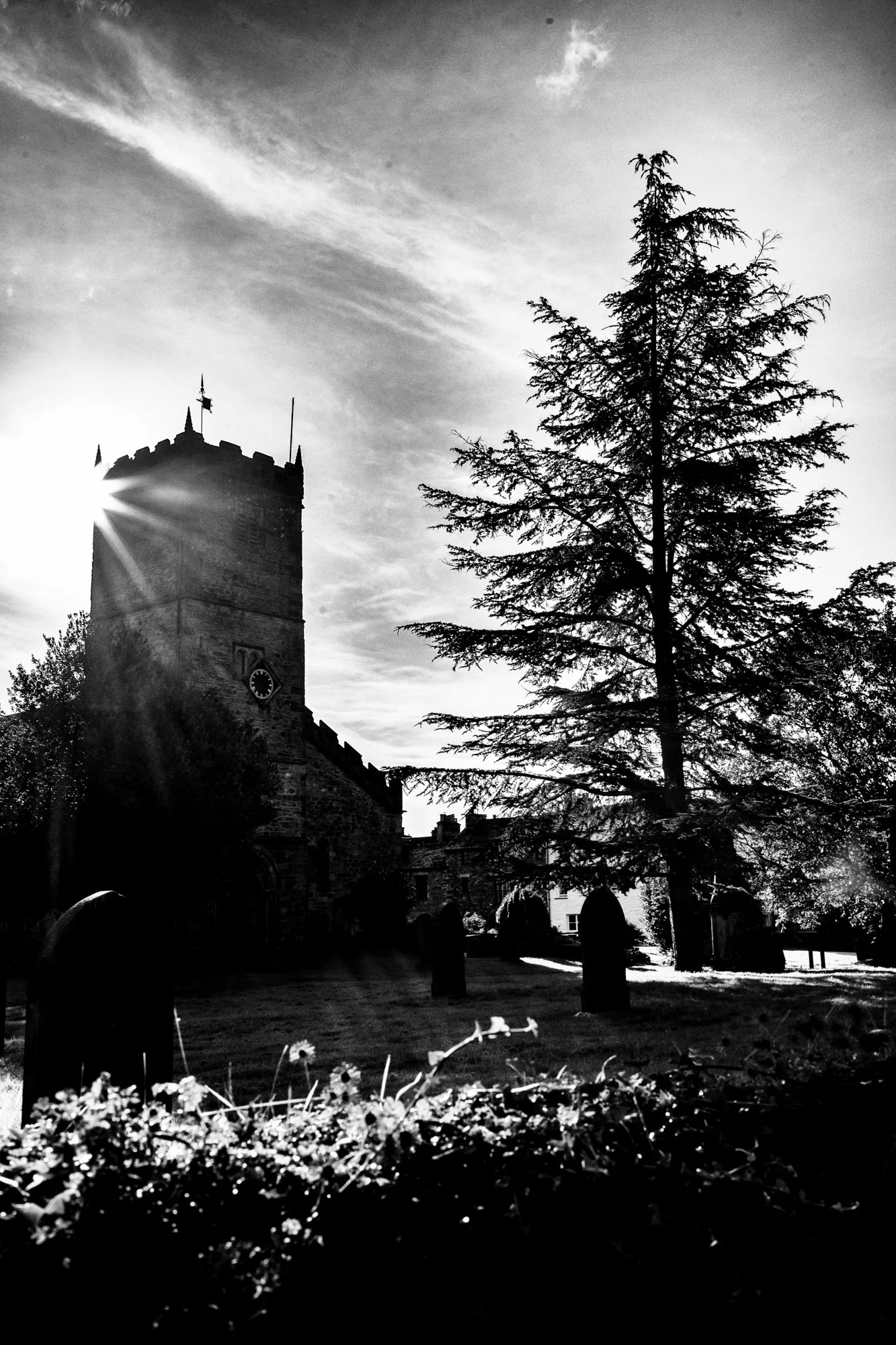 untitled-31-Edit-Edit.jpg
