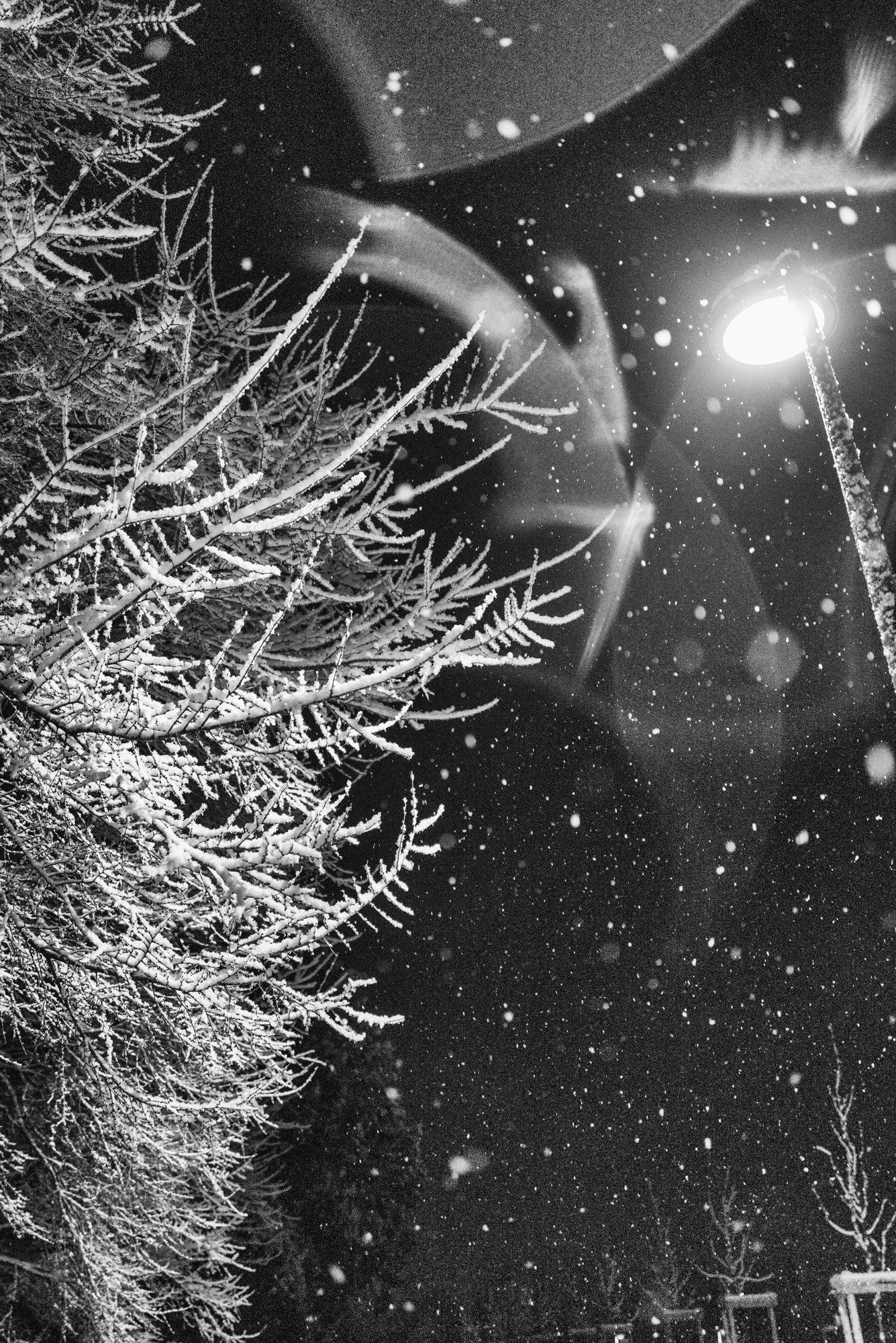 untitled-292-Edit.jpg