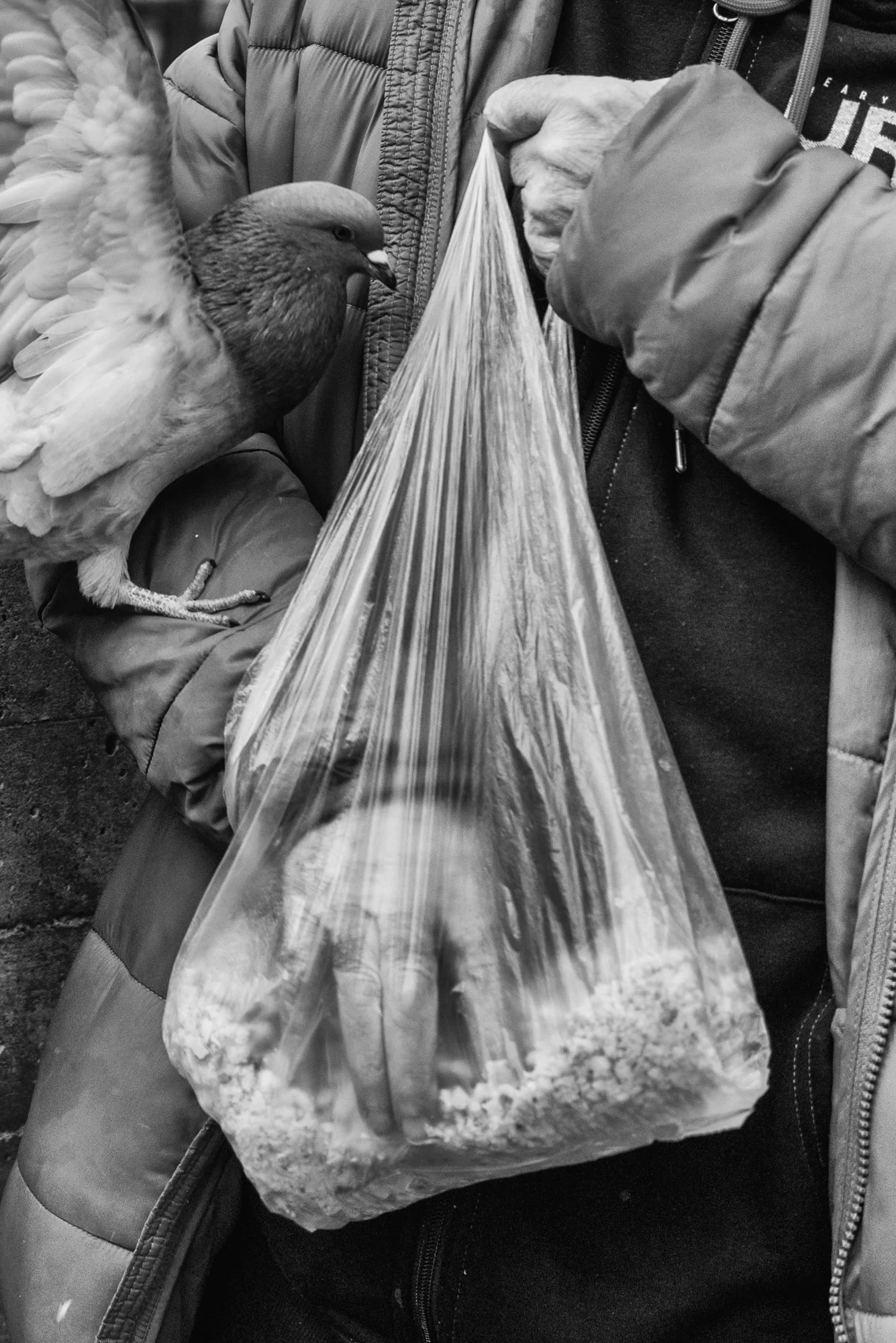 untitled-545-Edit.jpg