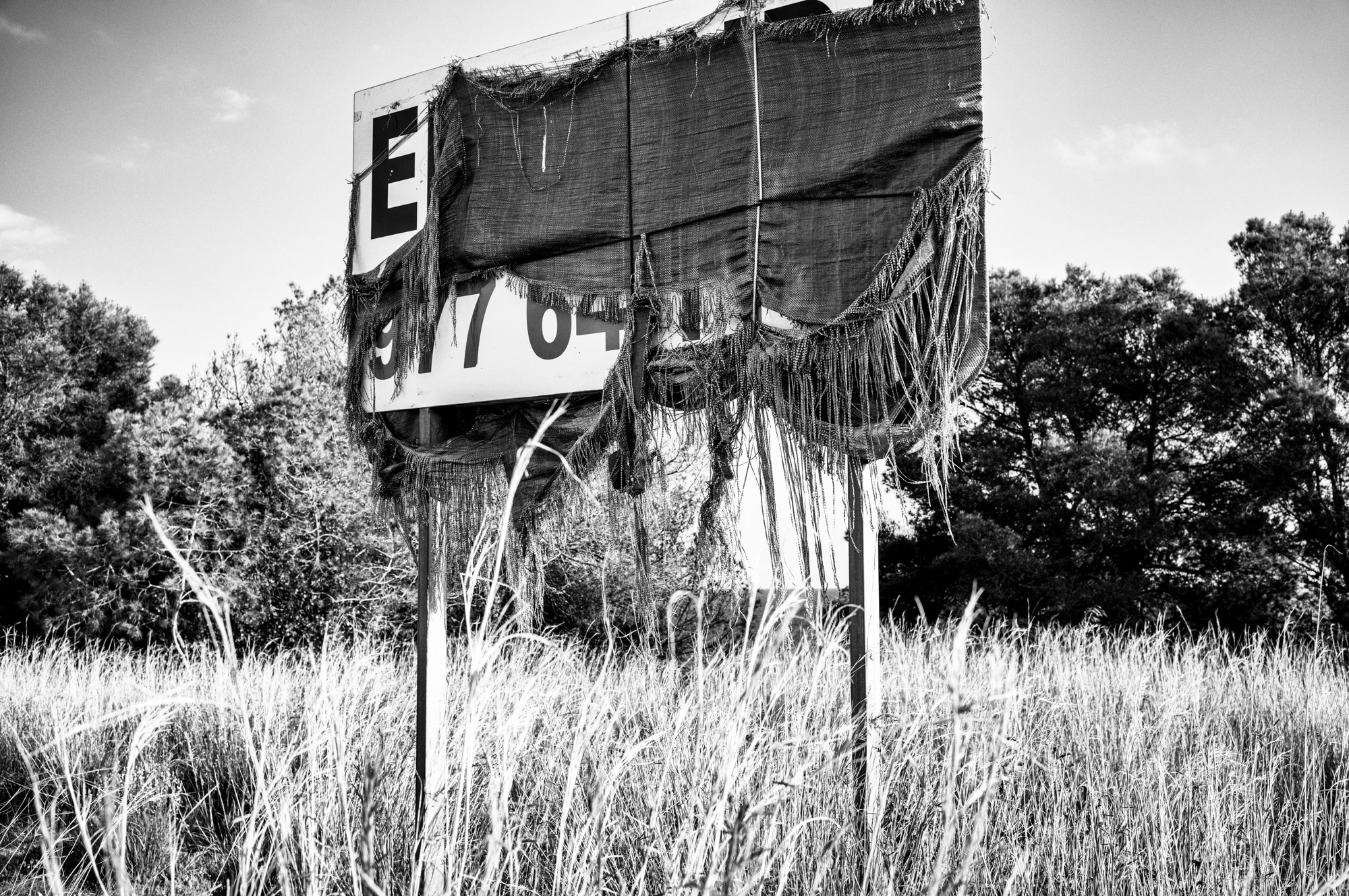 untitled-223-Edit.jpg
