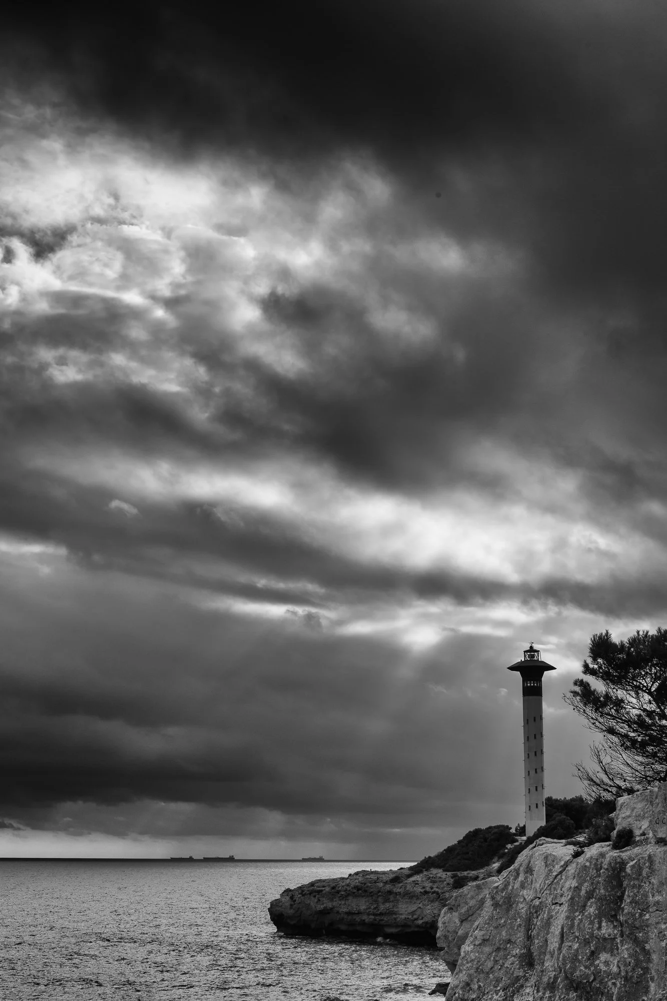 2604_Torre.jpg