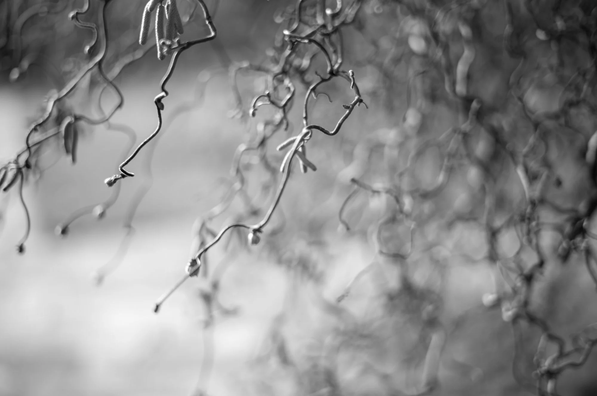 untitled-26.jpg