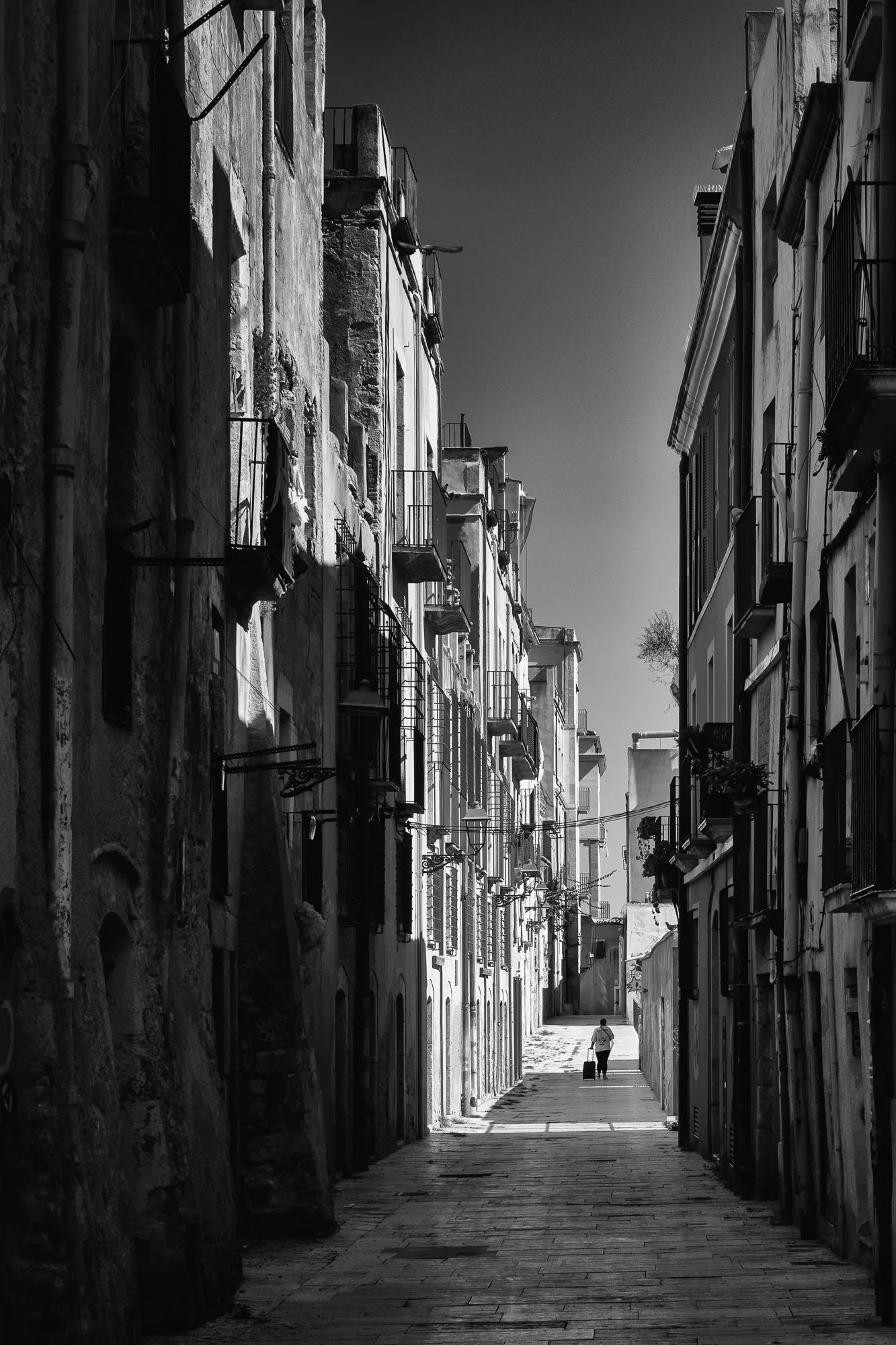 2604_Taragonna.jpg