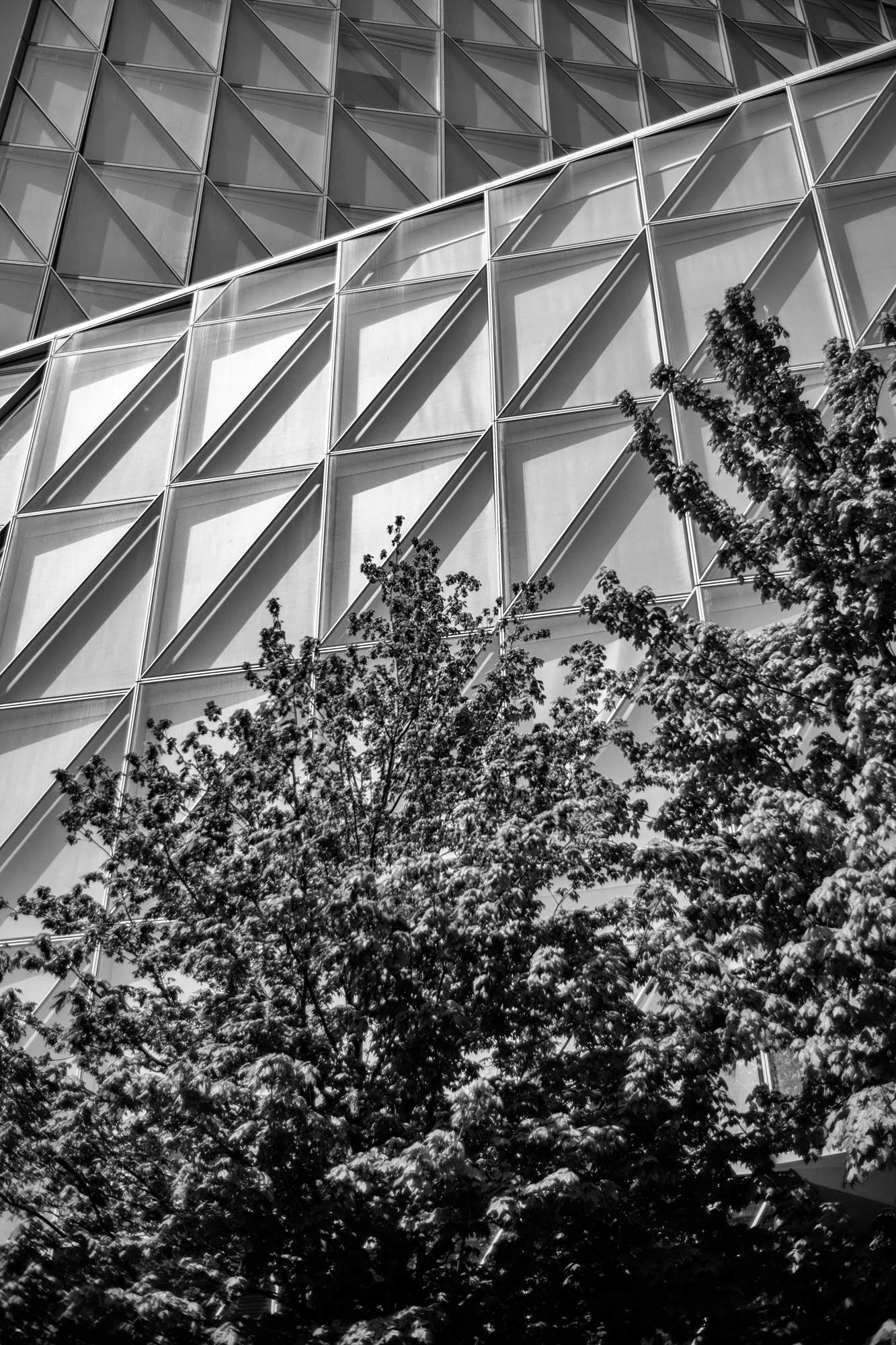 untitled-49-Edit.jpg