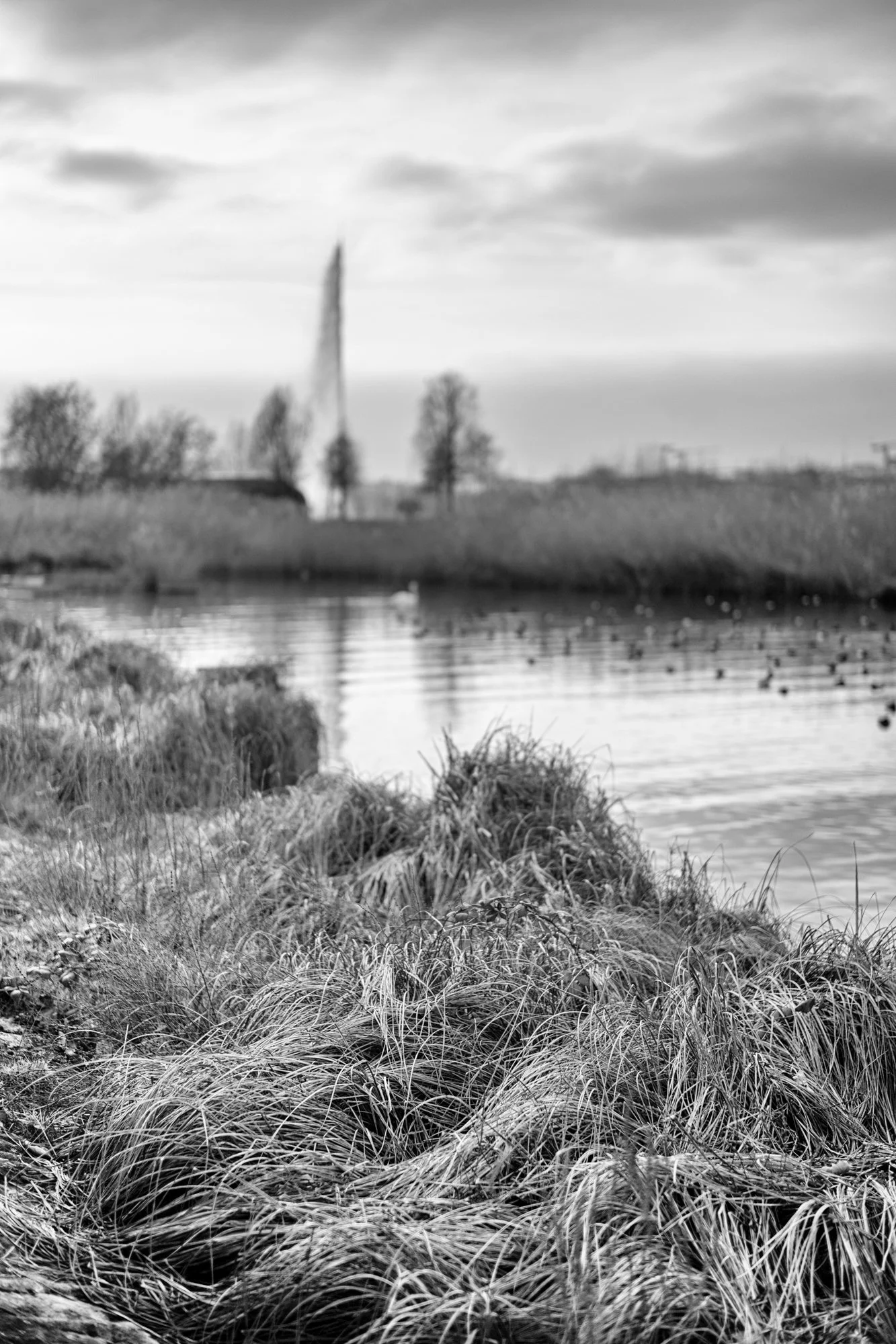 untitled-982-Edit.jpg