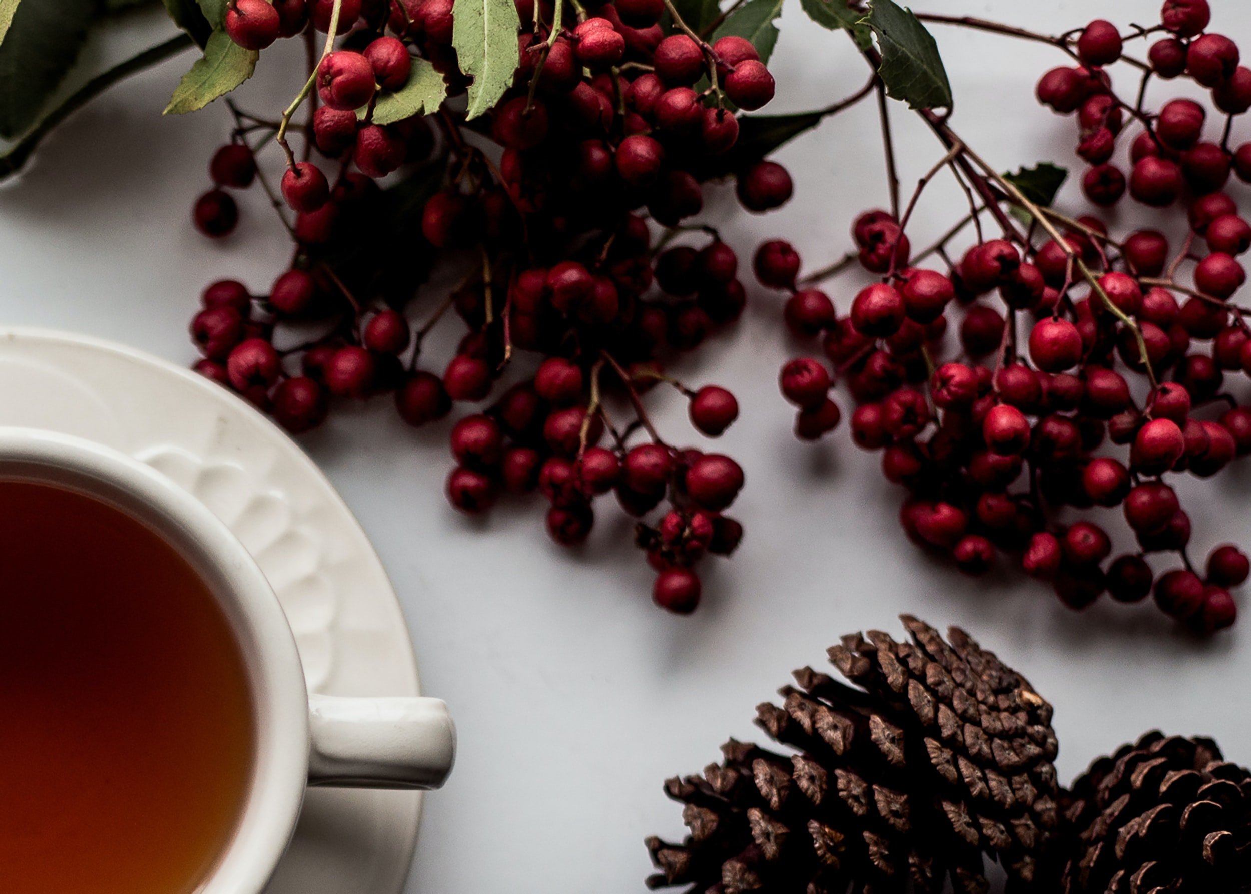 Christmas Devotions