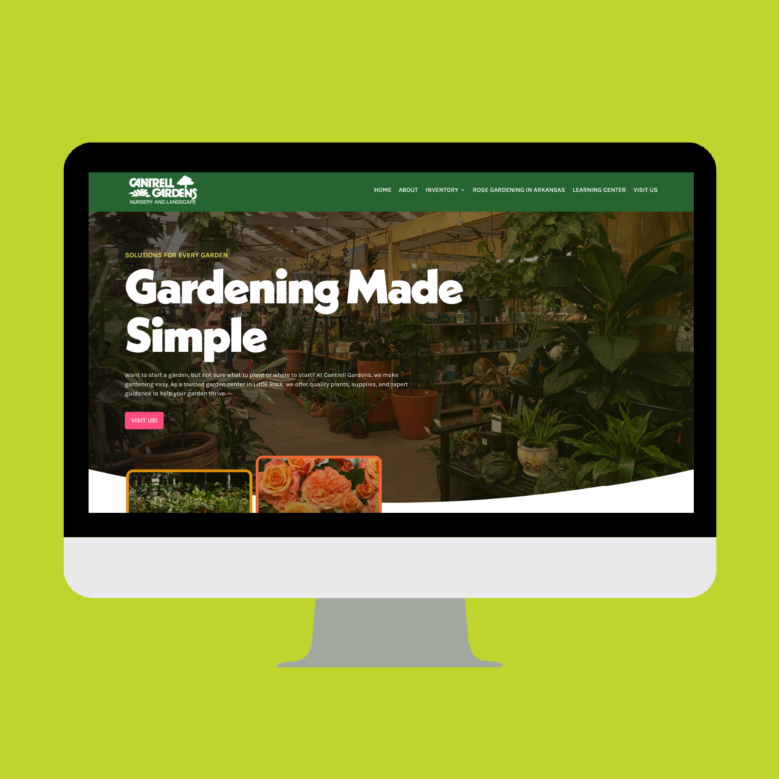 portfolio-images-01.png