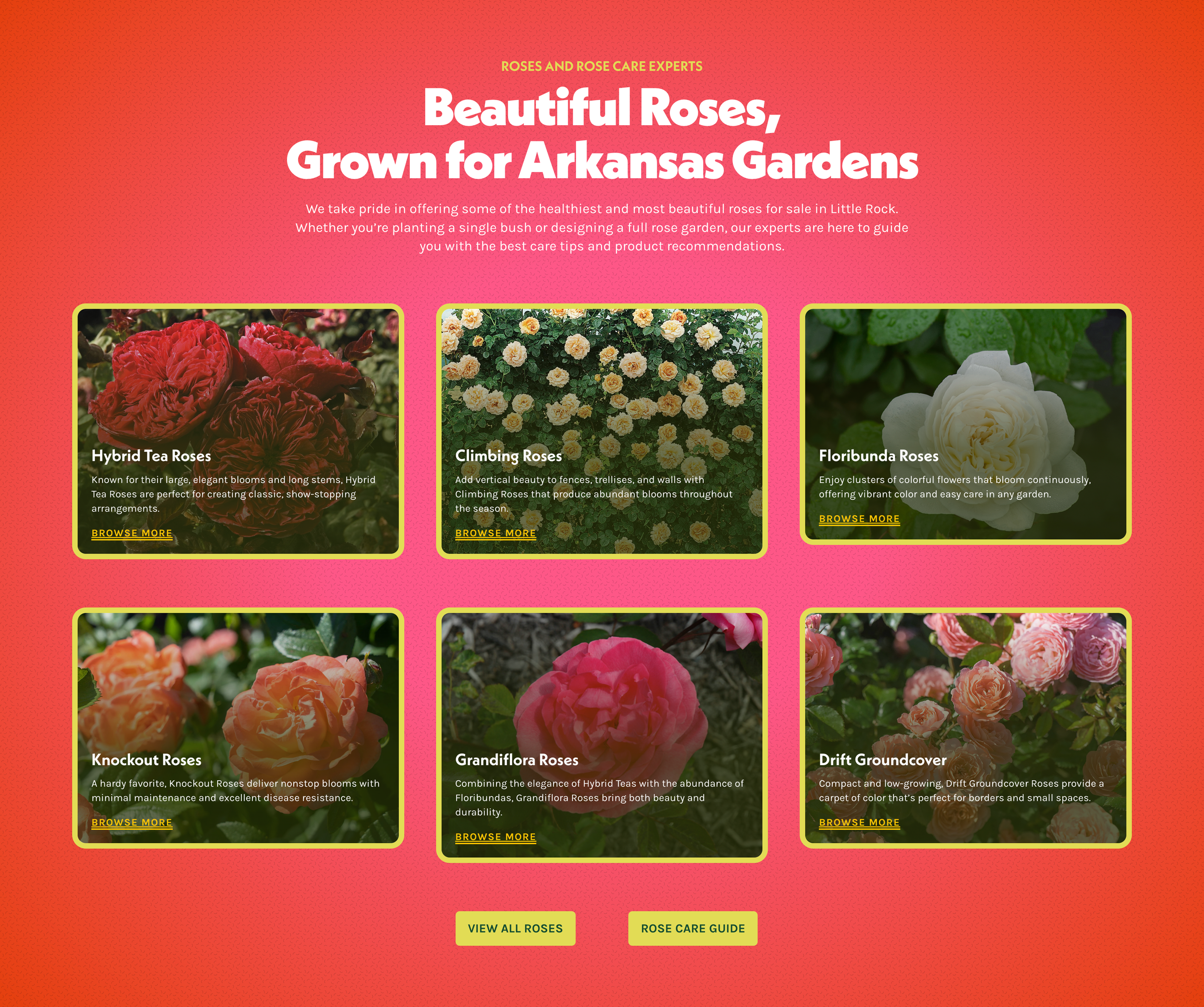 cantrell gardens copy 2.png