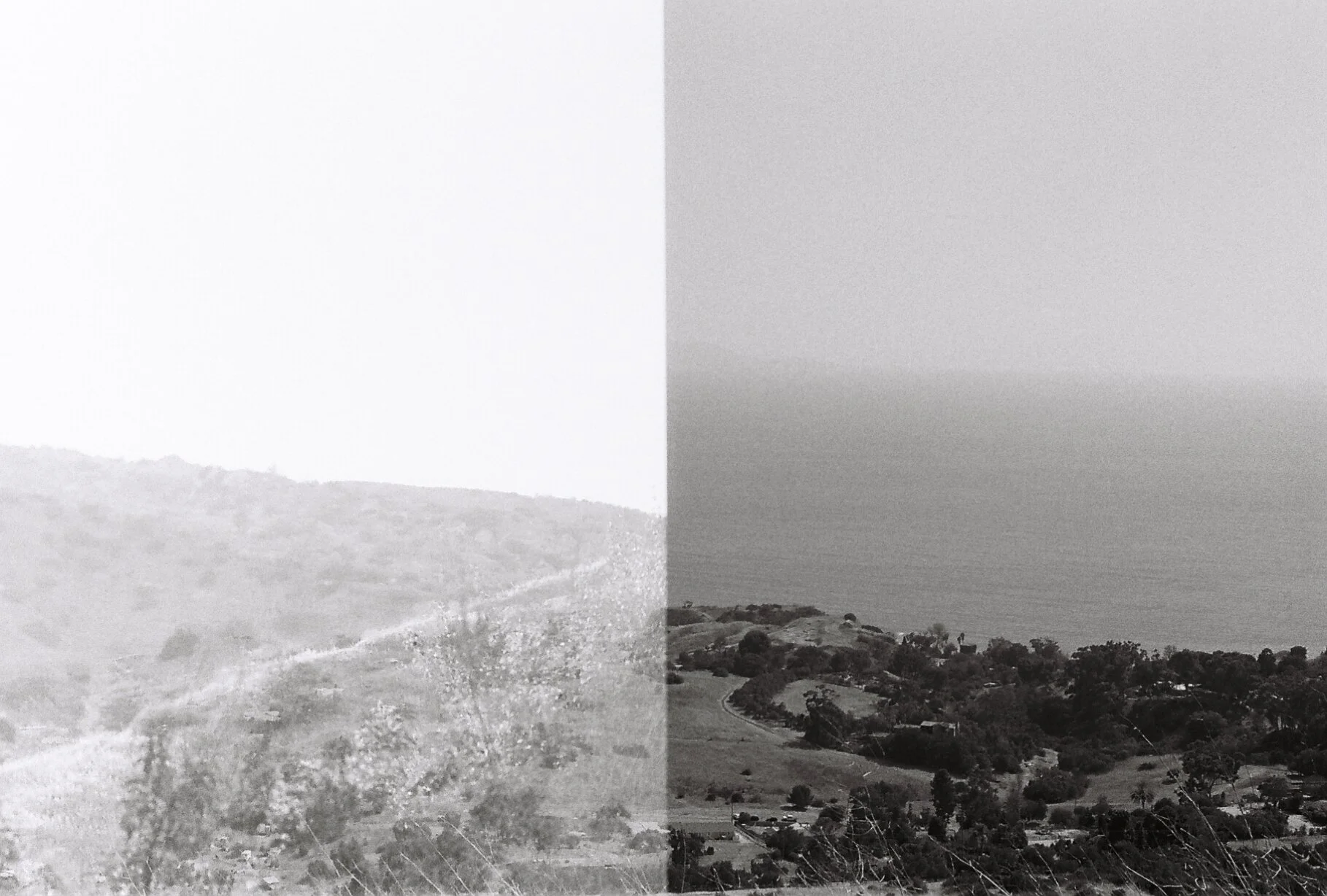 Split (Minolta XG-1)