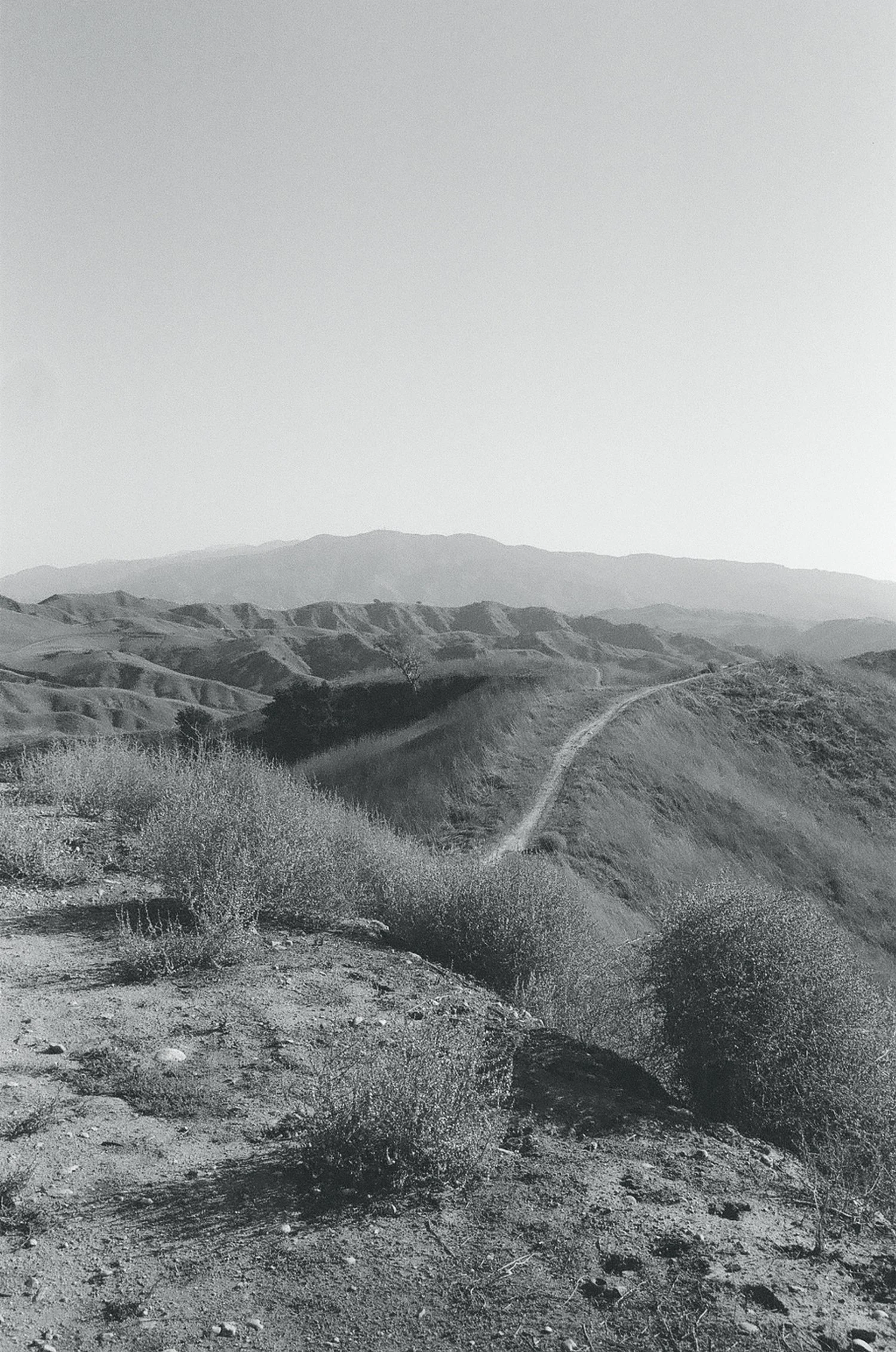 Hiking in Chino Hills State Park (Minolta XG-1)