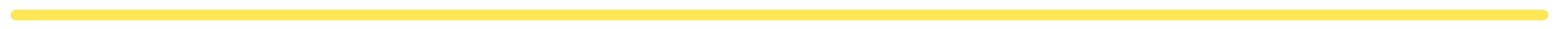Yellow Line.jpg