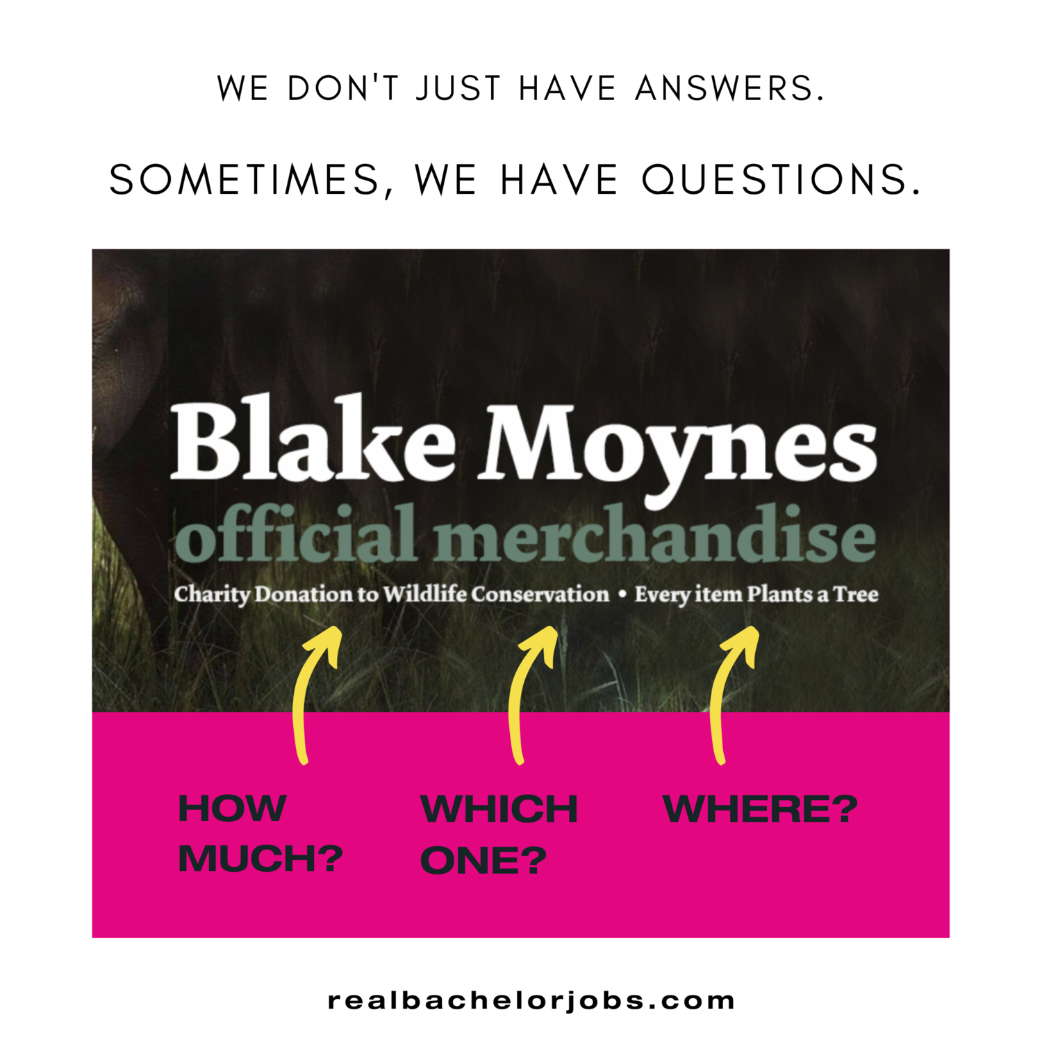 Blake Charity Questions.png