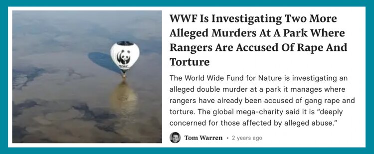 Screenshot+Framing.jpg