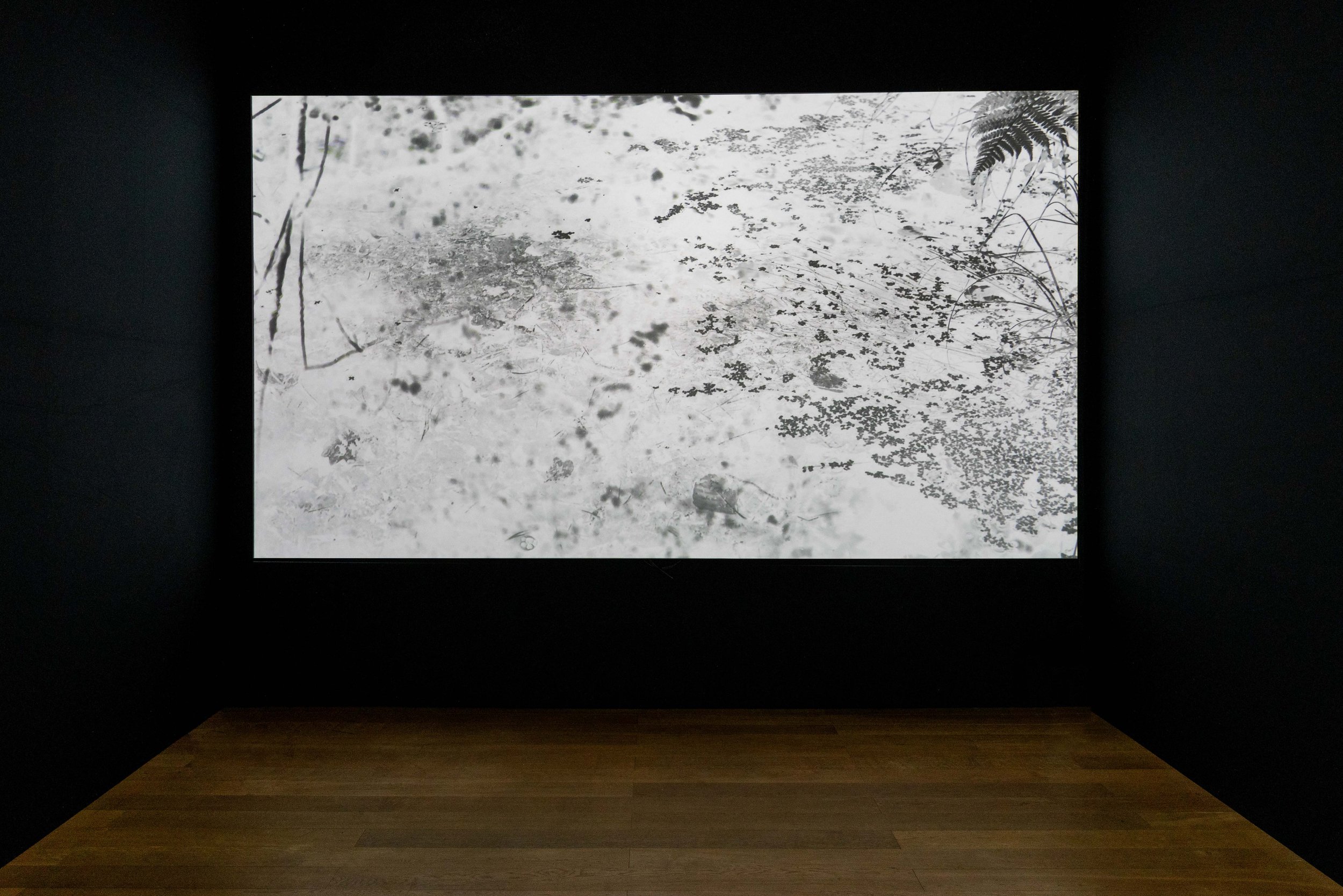 Yulia_Mahr_Unbecoming_Wehrmuehle_lb_agency_LowRes72dpi_Simi_31.jpg