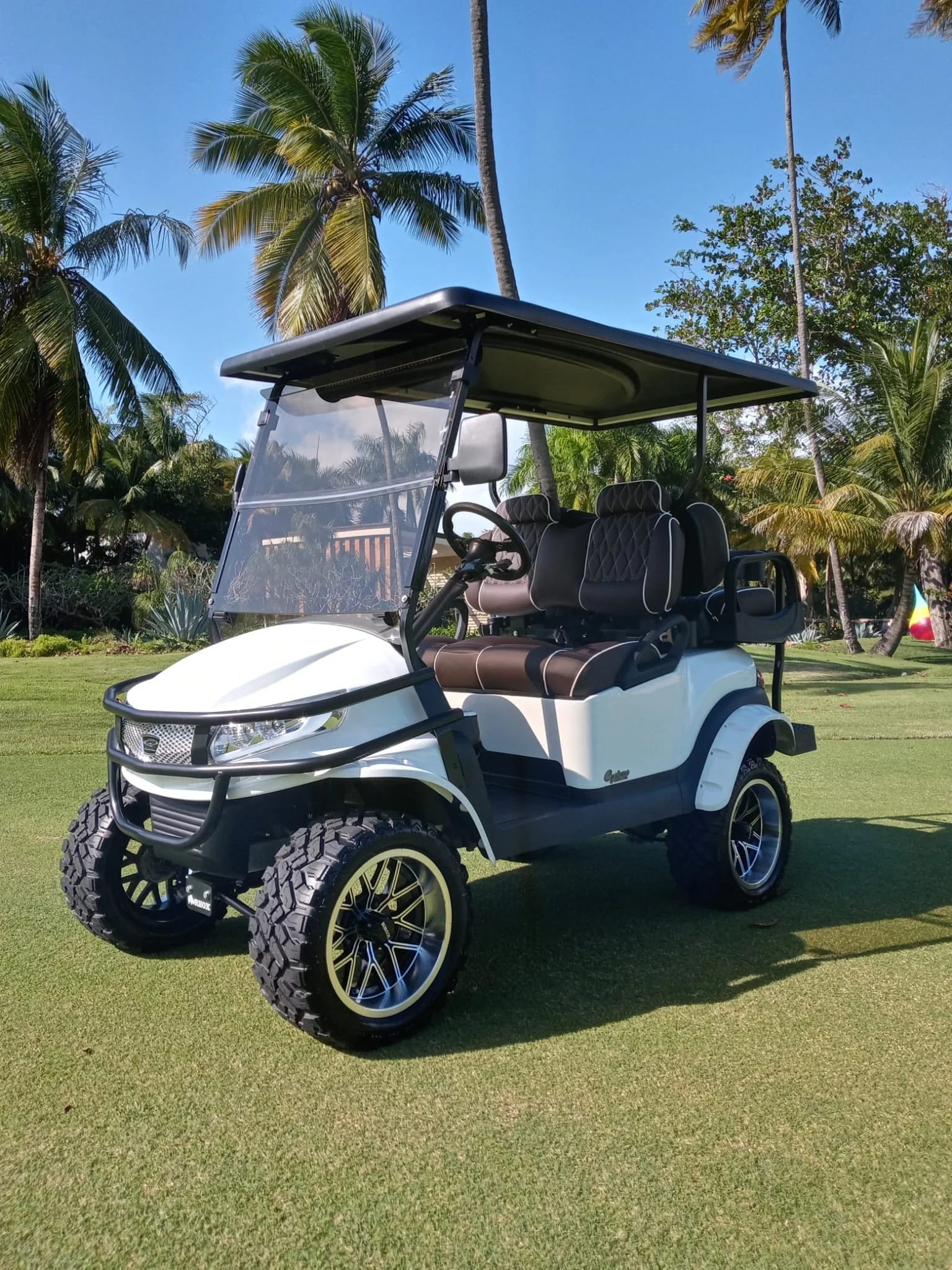 WhatsApp Image 2023-02-08 at 4.39.31 PM-3.jpeg