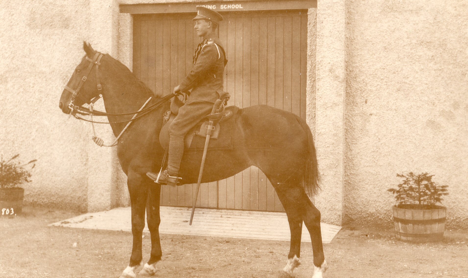 NSY Mounted bix.jpg