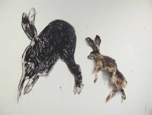 boundary — Joan Goldin:  Un Still Life