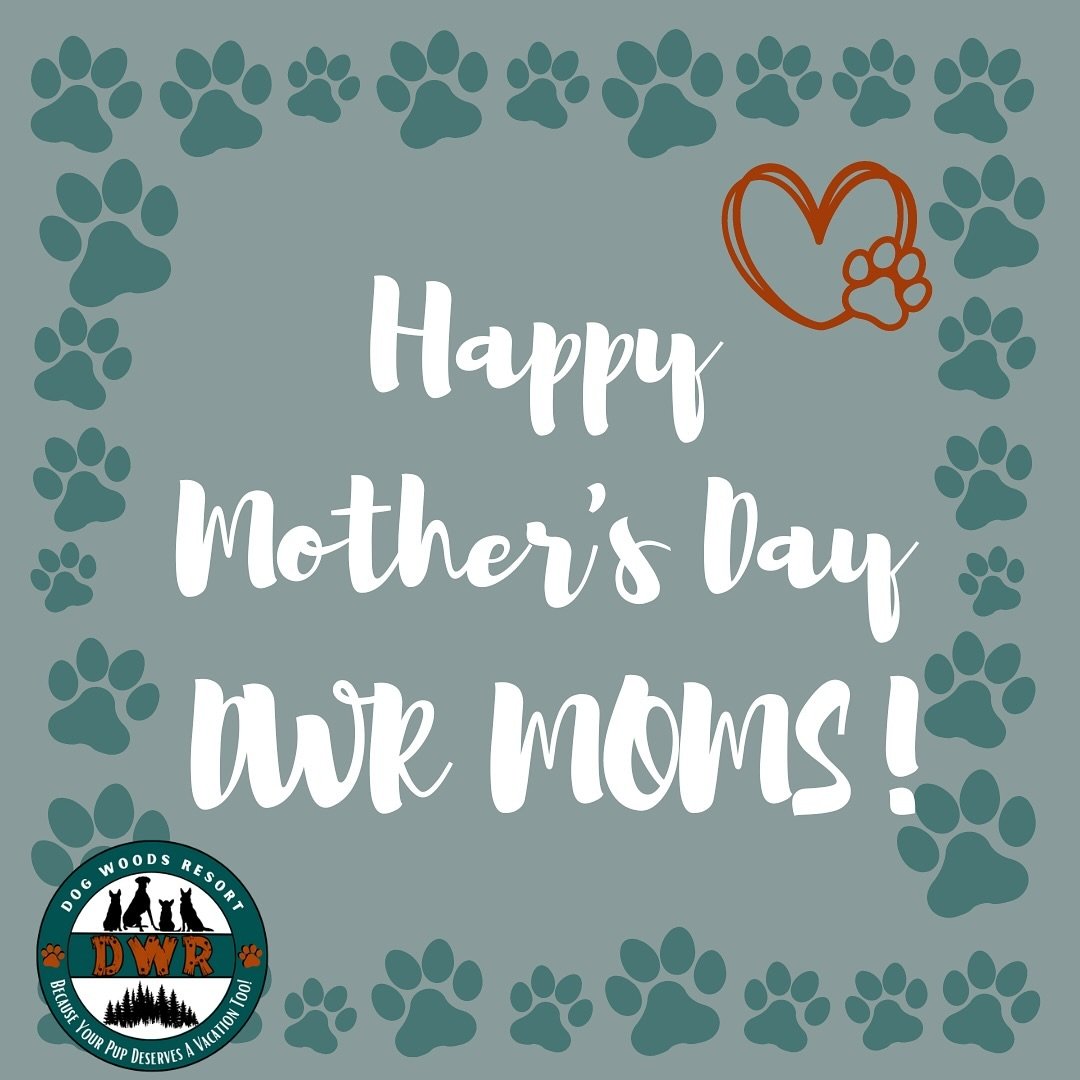 Happy Mother&rsquo;s Day to all our DWR fur moms!
We hope our DWR pups have you extra kisses today 🐾