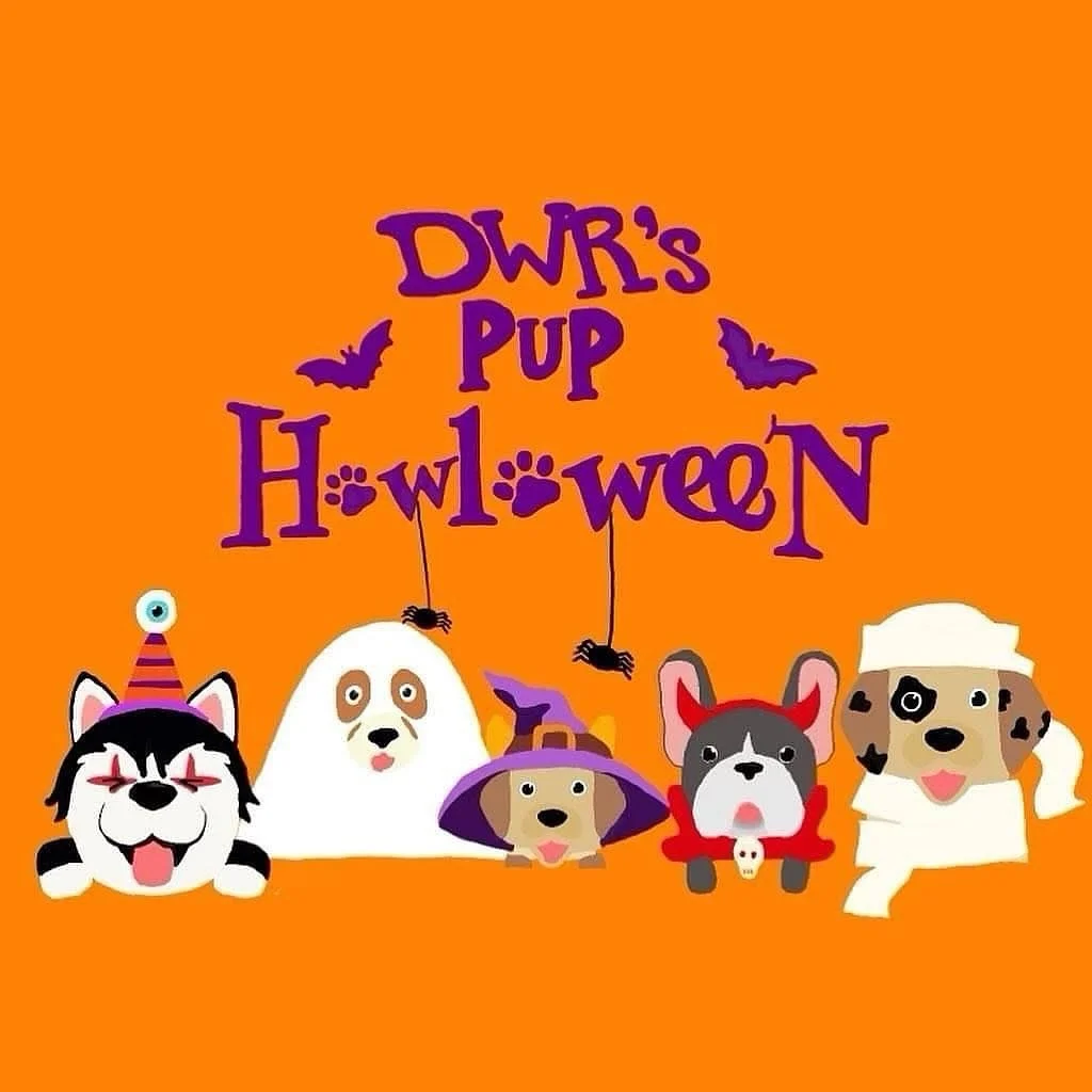 It&rsquo;s that time of year again 🐶✨
DWR&rsquo;s 5th Annual Pup Howl-o-ween Costume Contest is officially LIVE! 👻🎃

How to Enter
1. Follow us on Instagram
2. Post your pup(s) on your Instagram page, tag us @dogwoodsresort and include #DWRpuphowlo