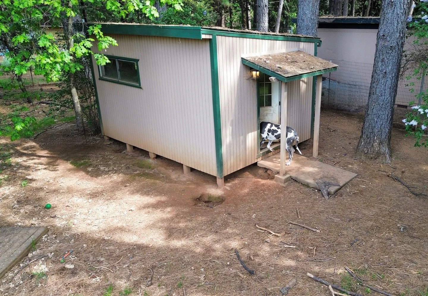 At DWR, our cabins aren&rsquo;t just for bedtime! 
They stay open all day, giving pups the freedom to roam the fenced play yard and retreat to their cozy cabins whenever they please. Comfortably heated in the winter and cooled with ceiling fans in th
