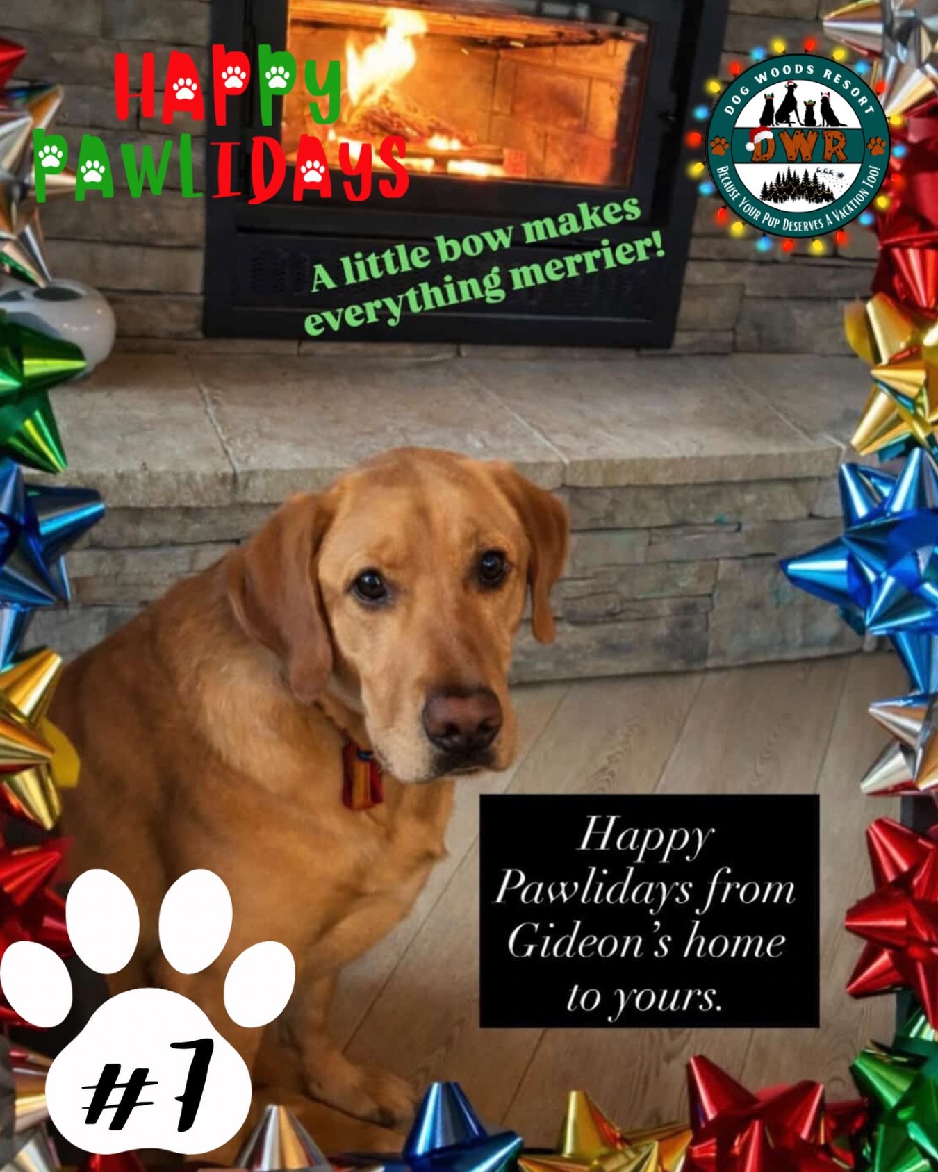 🐾🎄 PAWLIDAYS ENTRY #7 IS HERE! 🎄🐾

Another Pawliday pup has officially entered the chat 🎄🐶
Say hello to Gideon, our 7th entry in DWR&rsquo;s 5th Annual Happy Pawlidays Contest!
Gideon is bringing the festive vibes and rounding out the Pawliday 