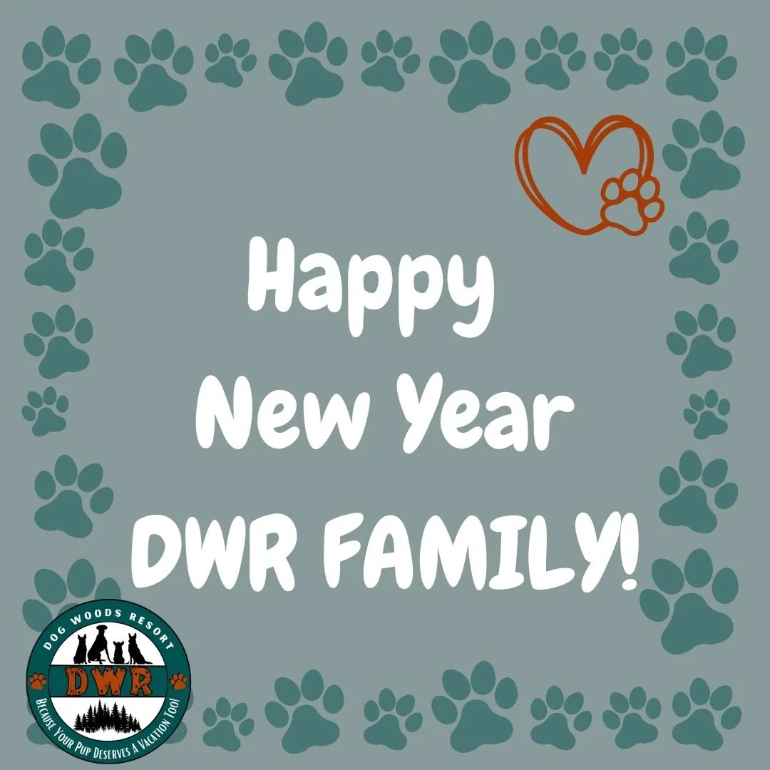 Happy New Year from all of us at Dog Woods Resort 🐾
We&rsquo;re so thankful for another year of muddy paws, wagging tails, and the best dogs around.
Here&rsquo;s to more adventures in the woods in 2026🐶🎉