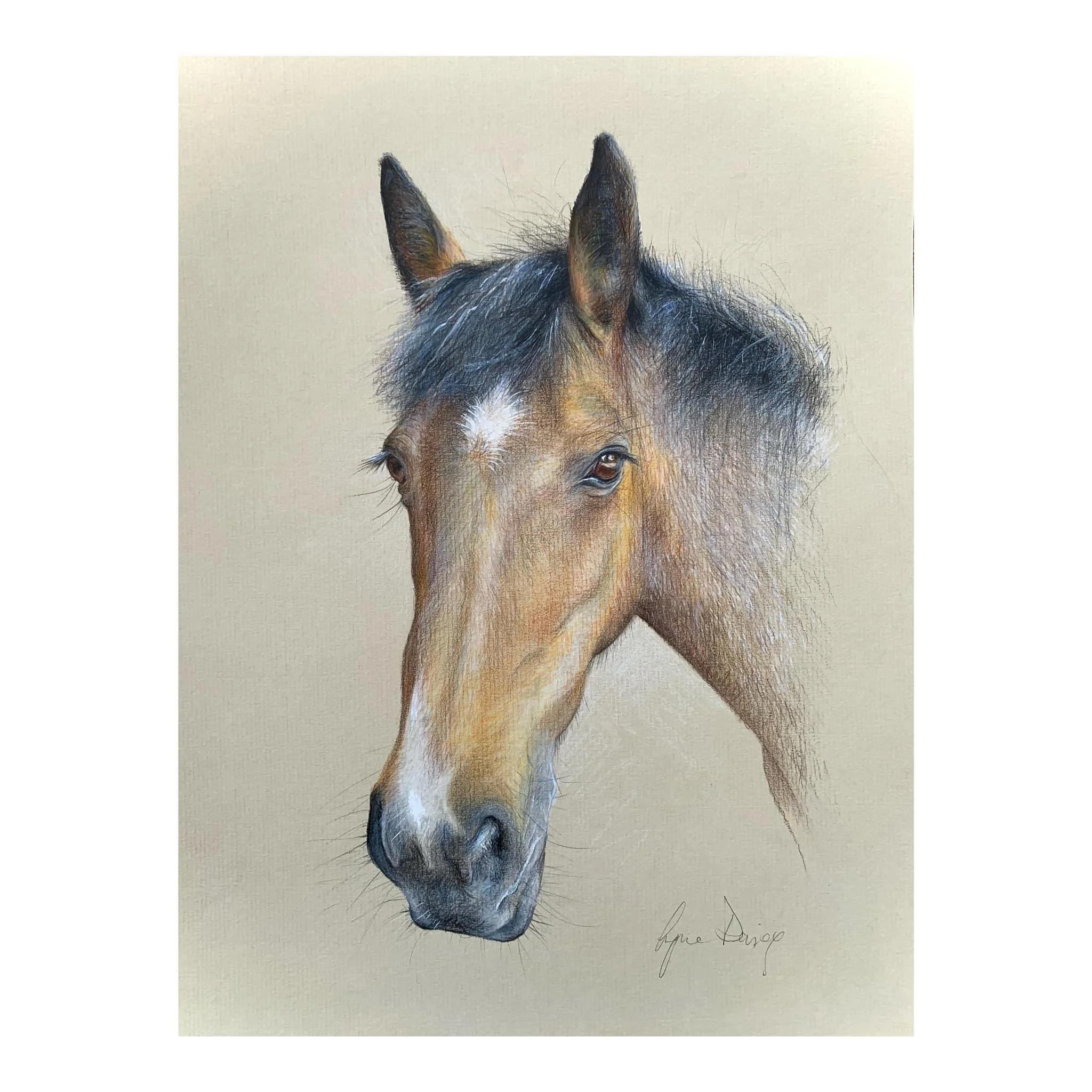 Lynne Davies Art home page