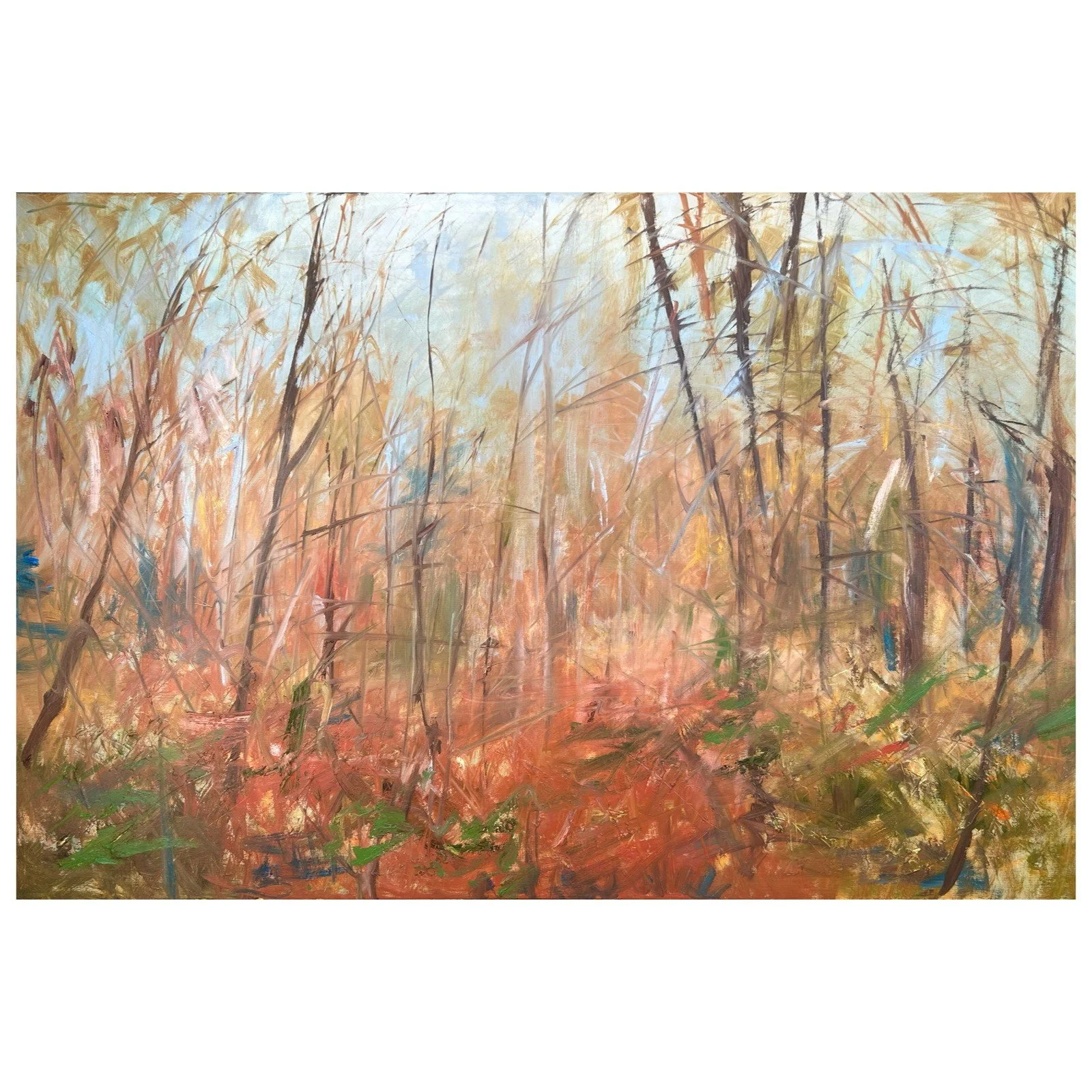 cant see the woods crop.jpg