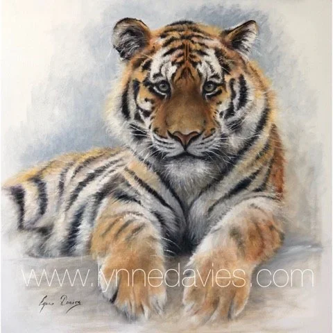 cathy's tiger 2.jpg