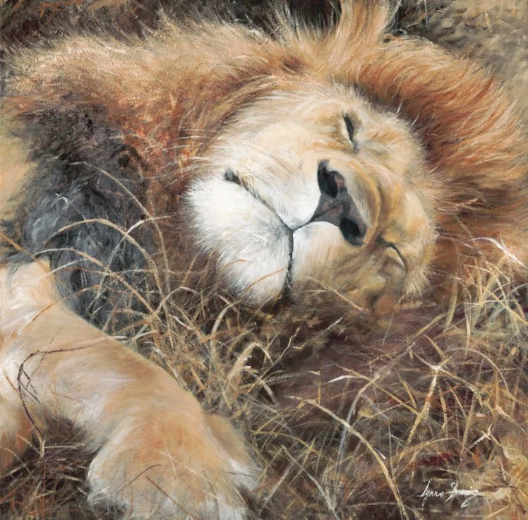 Sunday_Lie_In.jpg