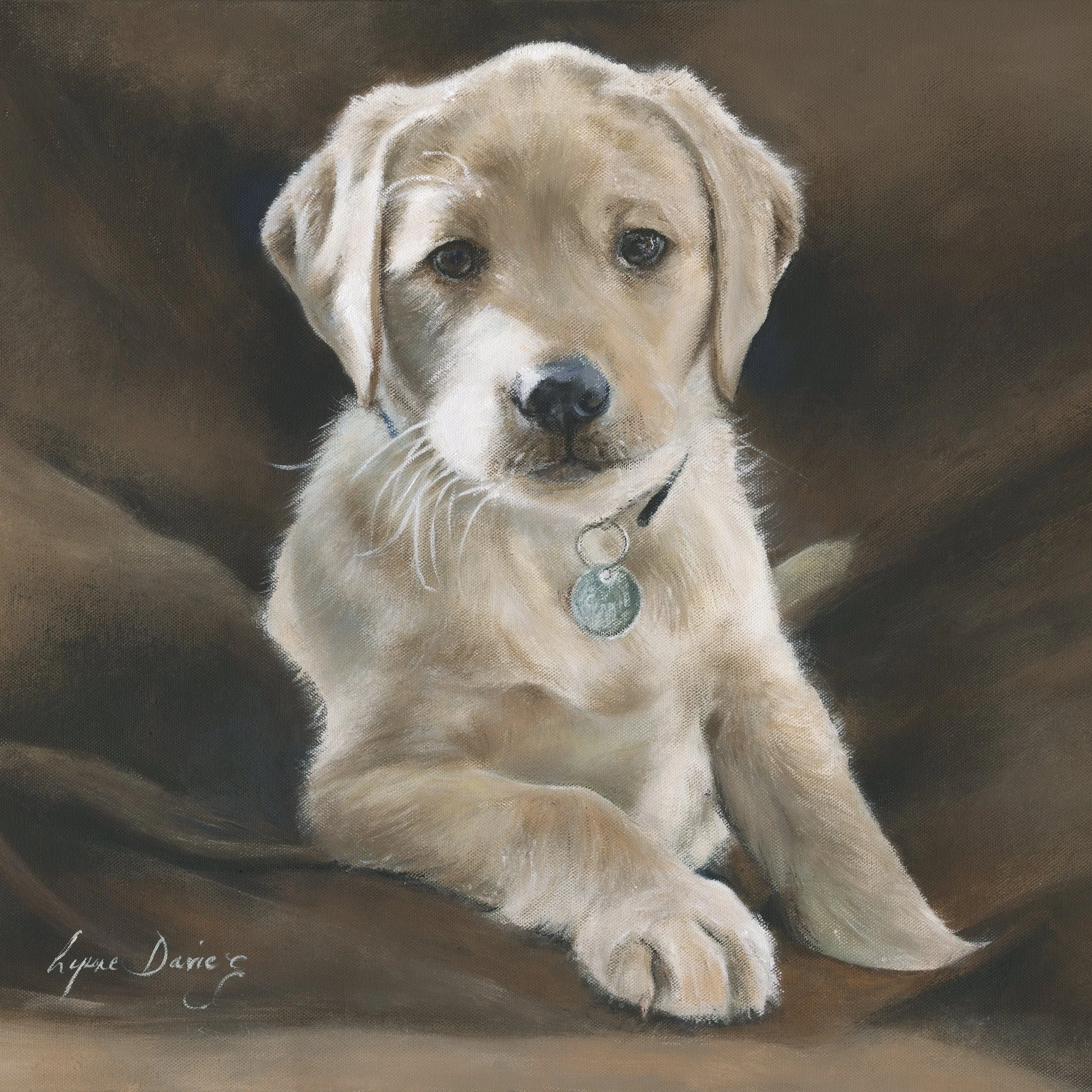 DAVI53-SQ40 Labrador Puppy image230x230 mounted400x400 4up.jpg
