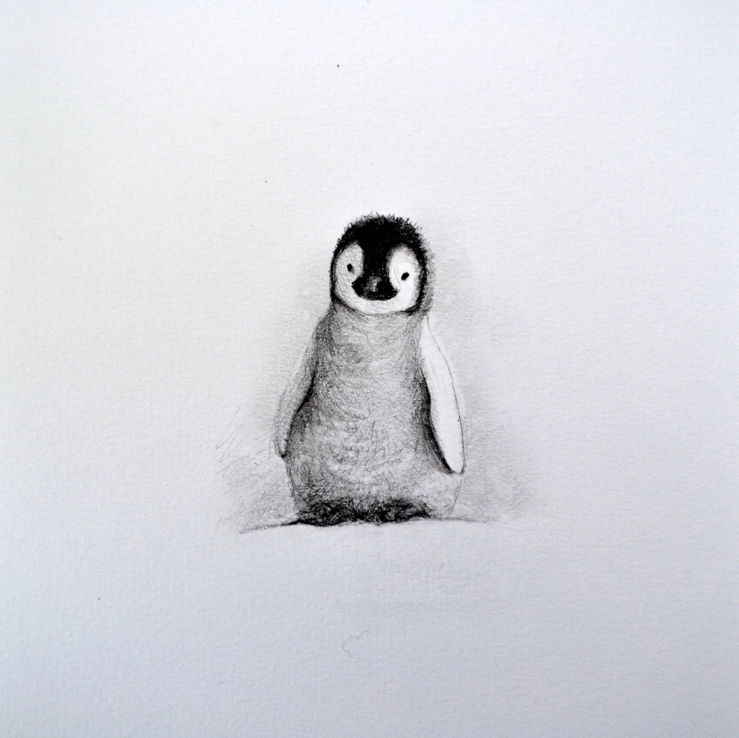 baby penguin.JPG